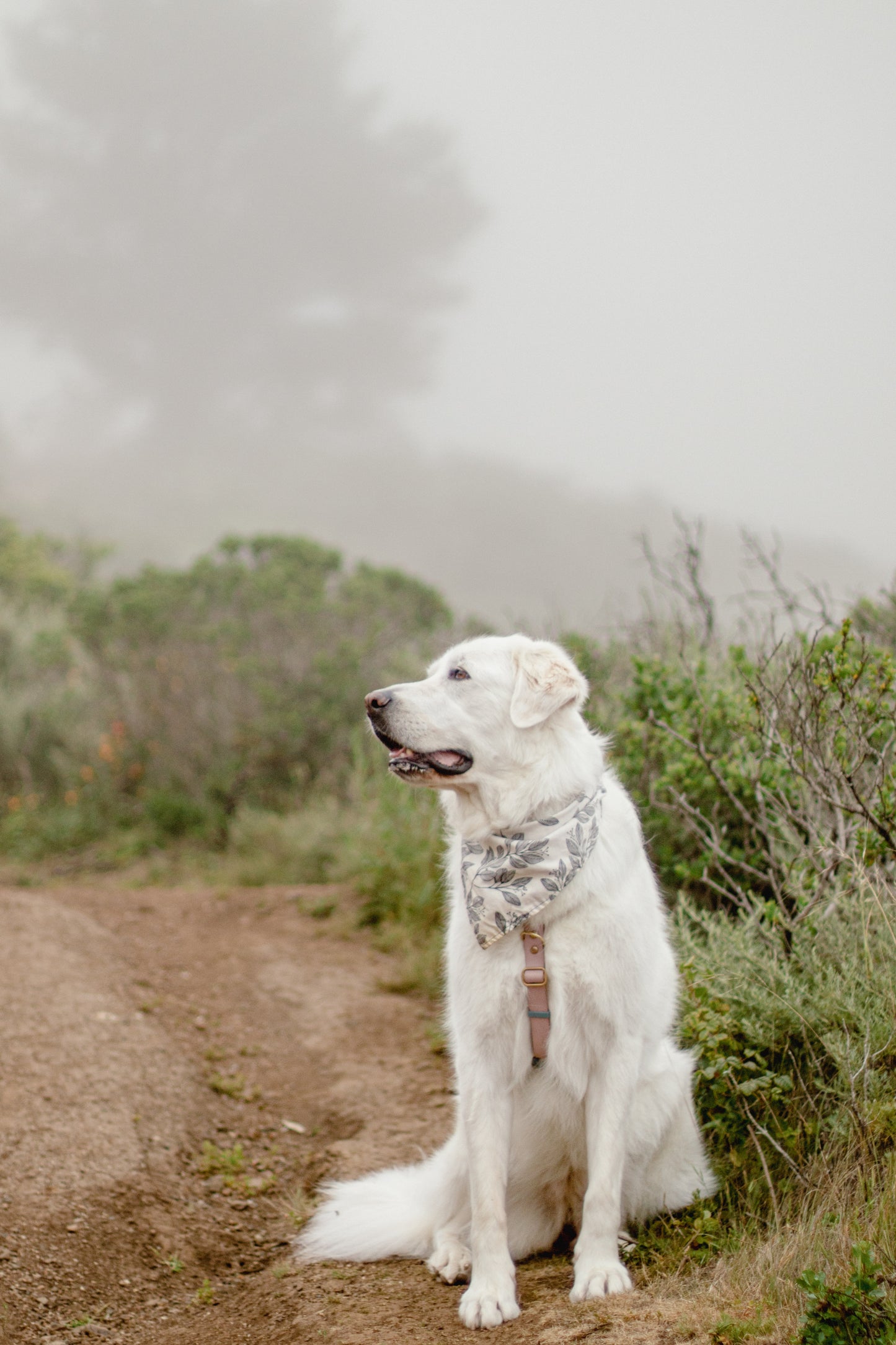*Insect Shield® REPELLENT APPAREL* | Bandana