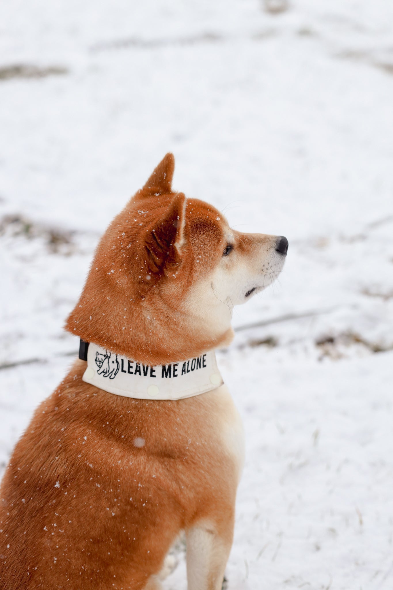*CUSTOM* WATERPROOF | Embroidered Leash Wrap
