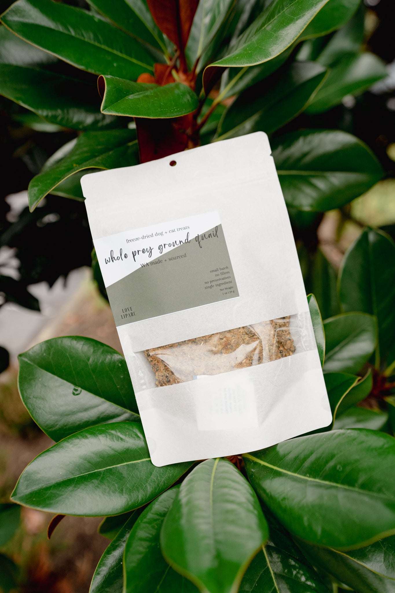 WHOLE PREY GROUND QUAIL | Freeze-Dried Dog + Cat Treat