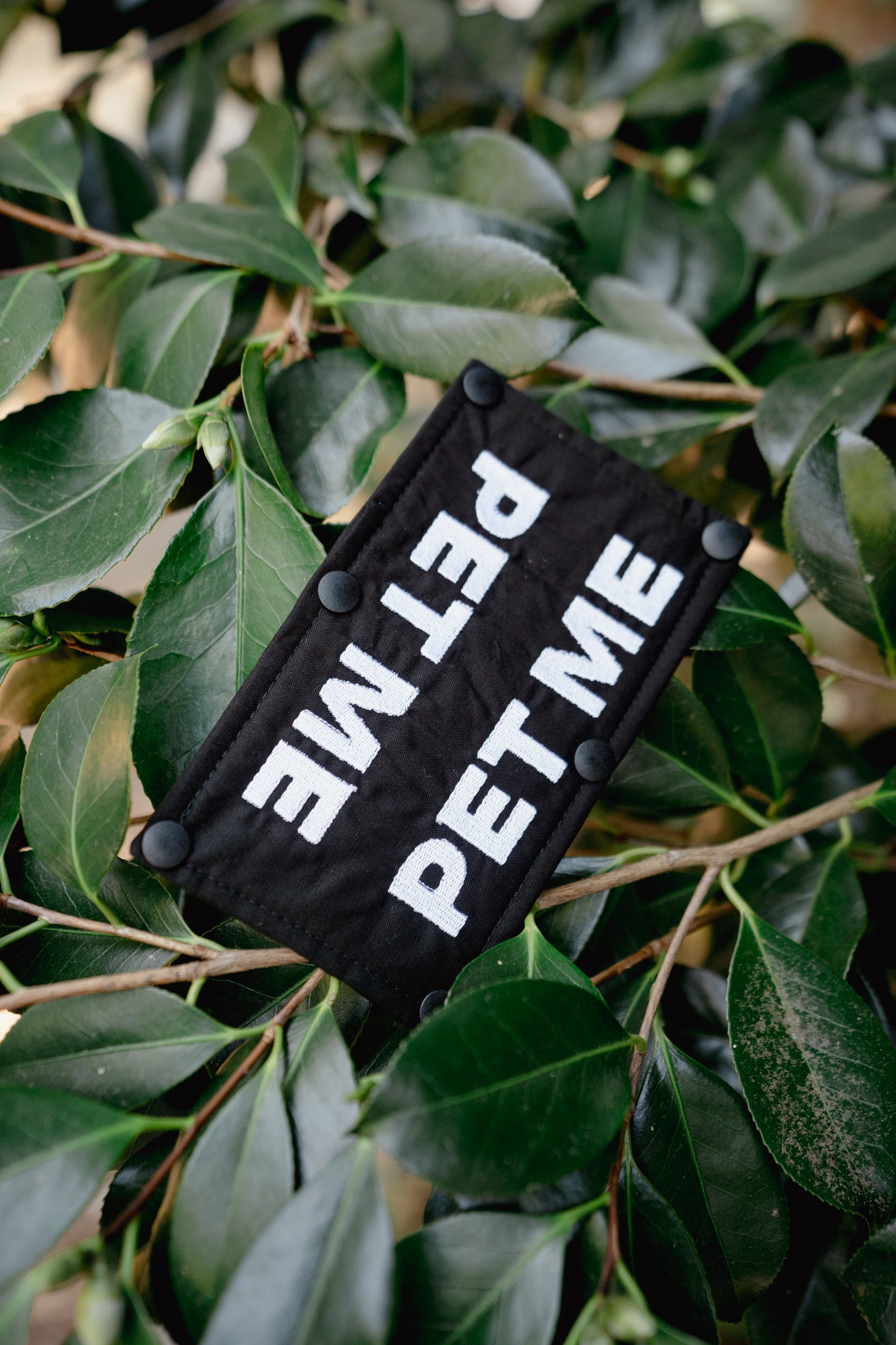*Pre-made* | Embroidered Leash Wrap