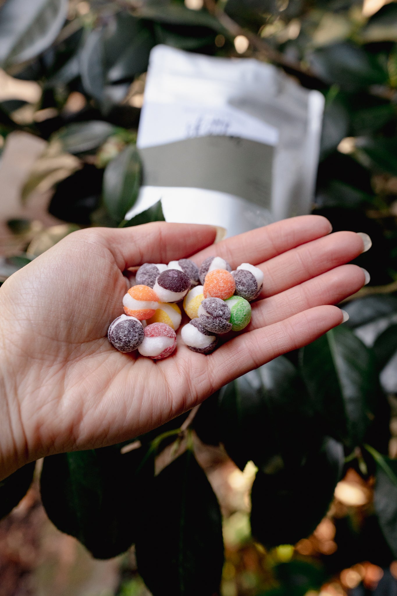 Skittles *Sour Flavor* | Freeze-Dried Human Treat