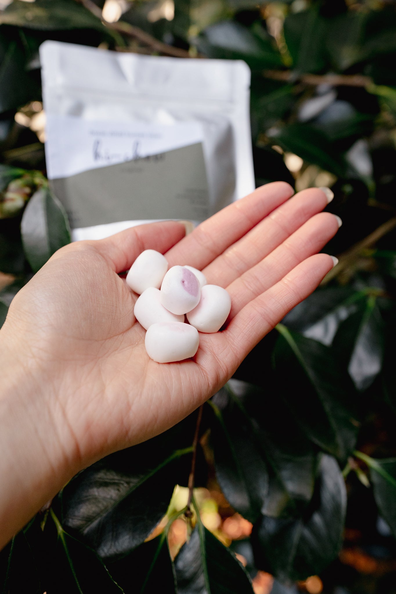 Hi-Chew *Original Flavor* | Freeze-Dried Human Treat