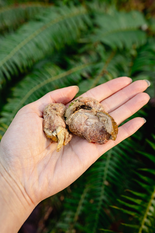 PHEASANT GIZZARDS | Freeze-Dried Dog + Cat Treat