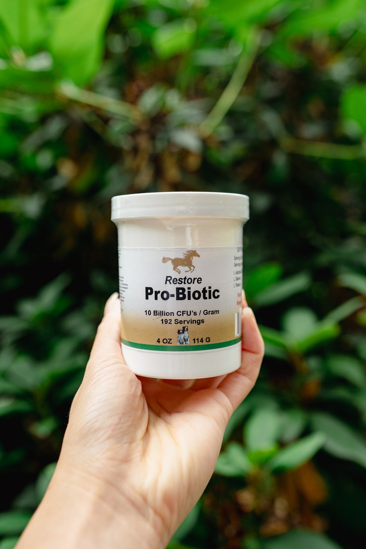 RESTORE PRO-BIOTIC | Healthline Nutrition