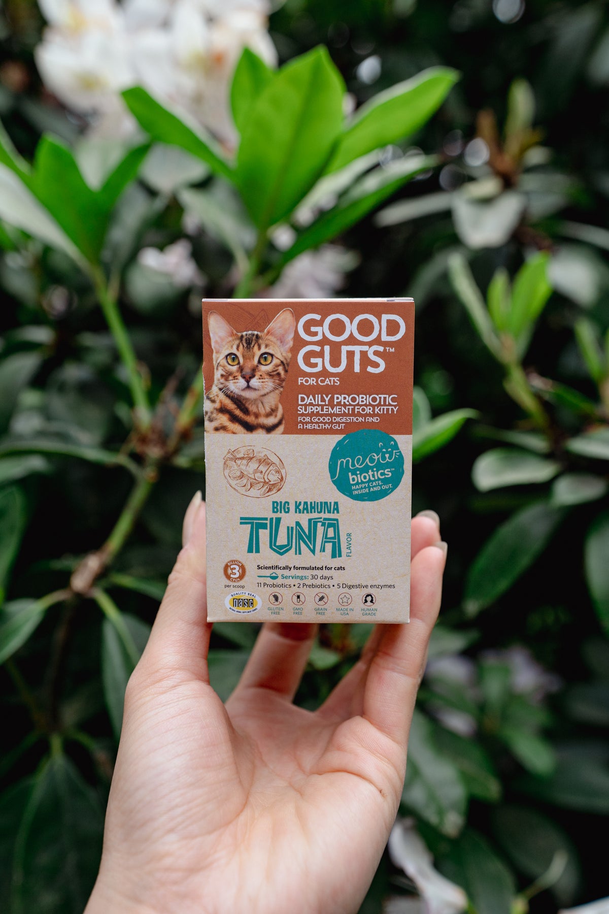 GOOD GUTS for cats | Fidobiotics