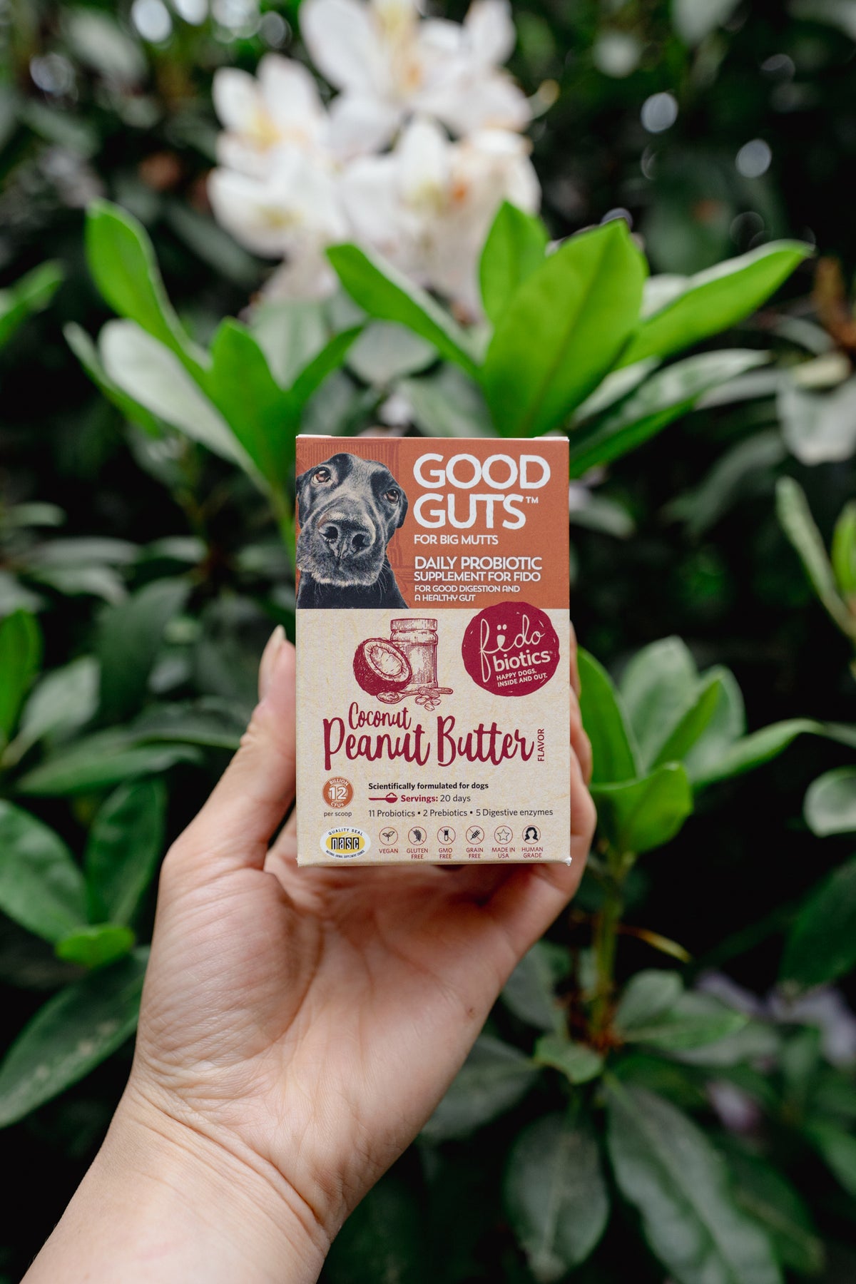 GOOD GUTS for dogs | Fidobiotics