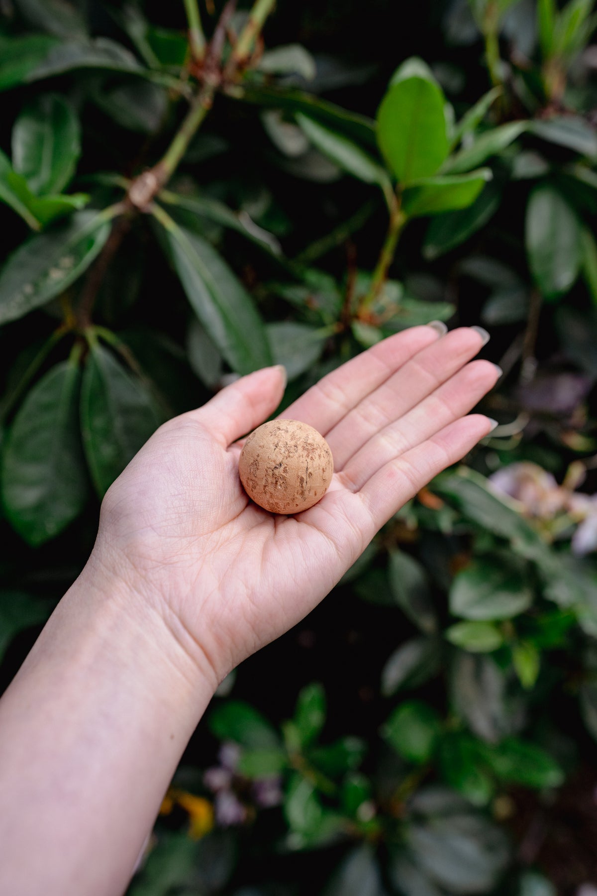 BILLY BOB THE CORK BALL | From The Field