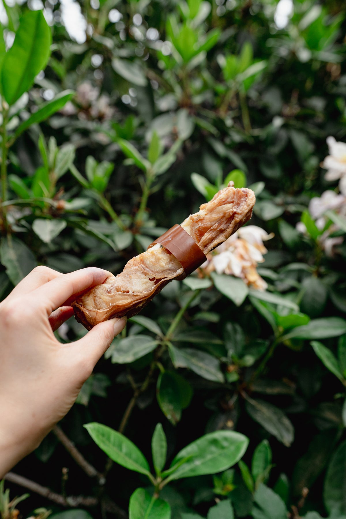 BEEF SKIRT STEAK BAR | Home Range