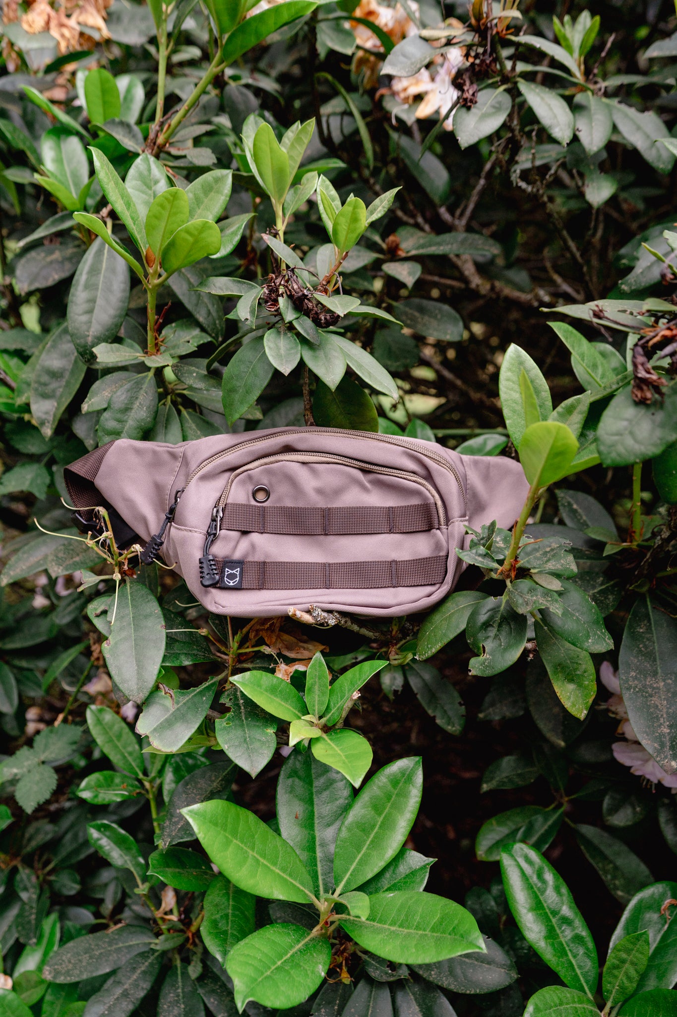 ADVENTURE PACK | Litto Howler