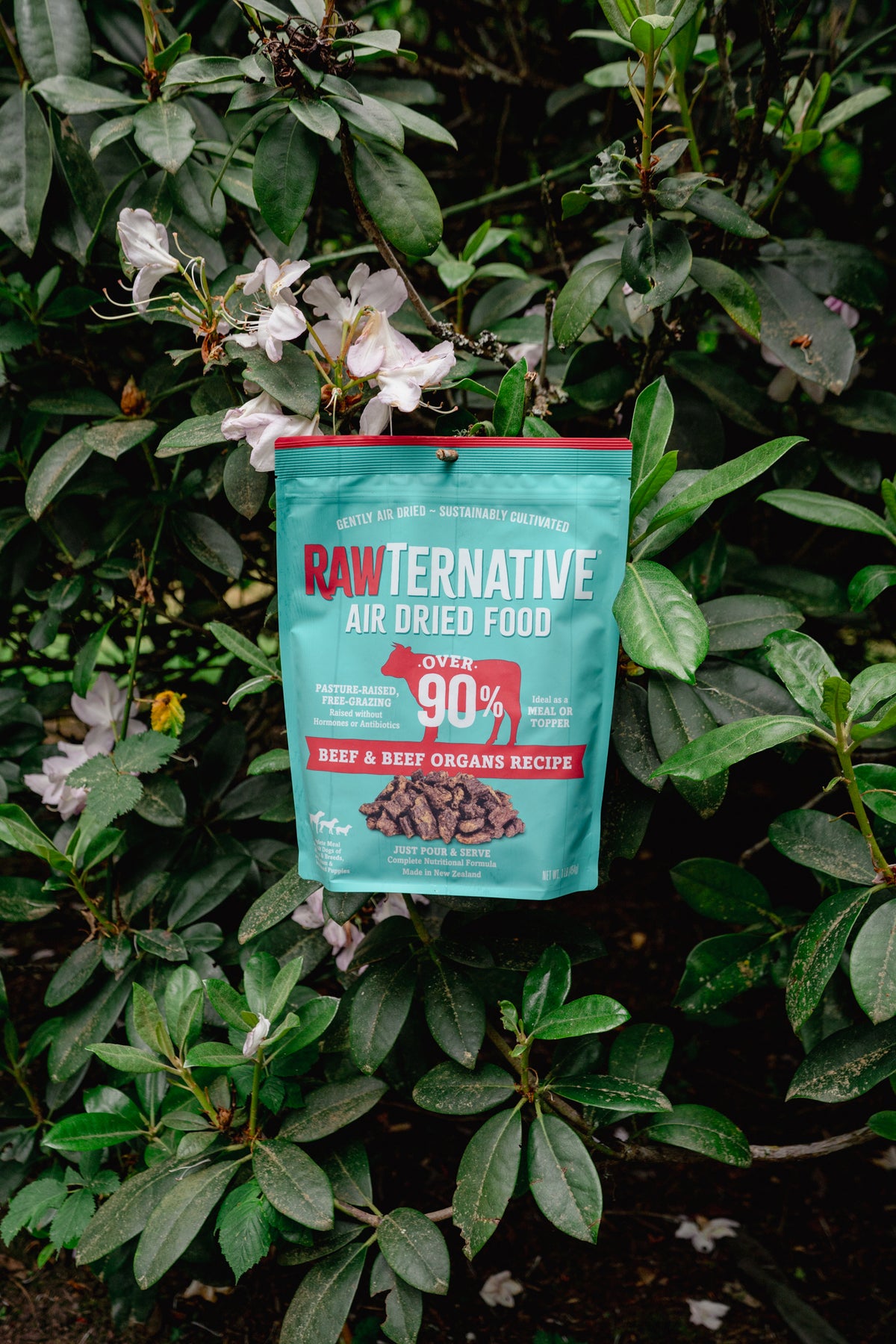 BEEF air-dried dog food | RawTernative