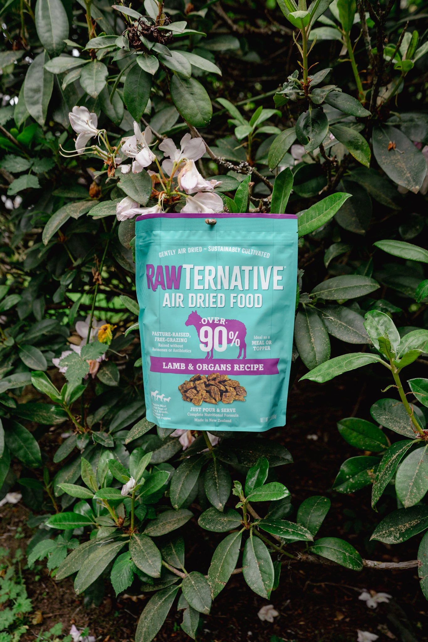 LAMB air-dried dog food | RawTernative