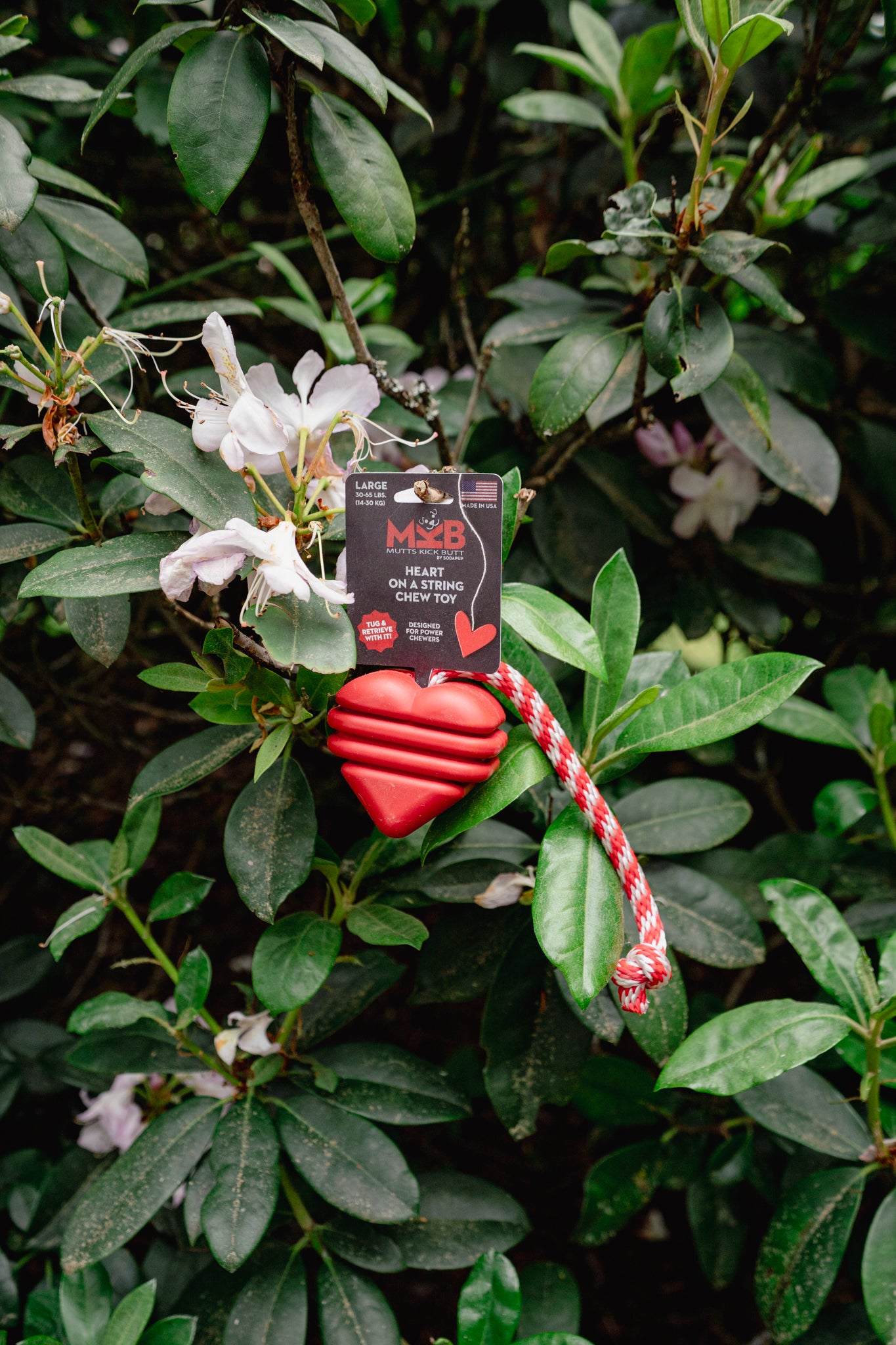 HEART ON A STRING DOG TOY | Soda Pup