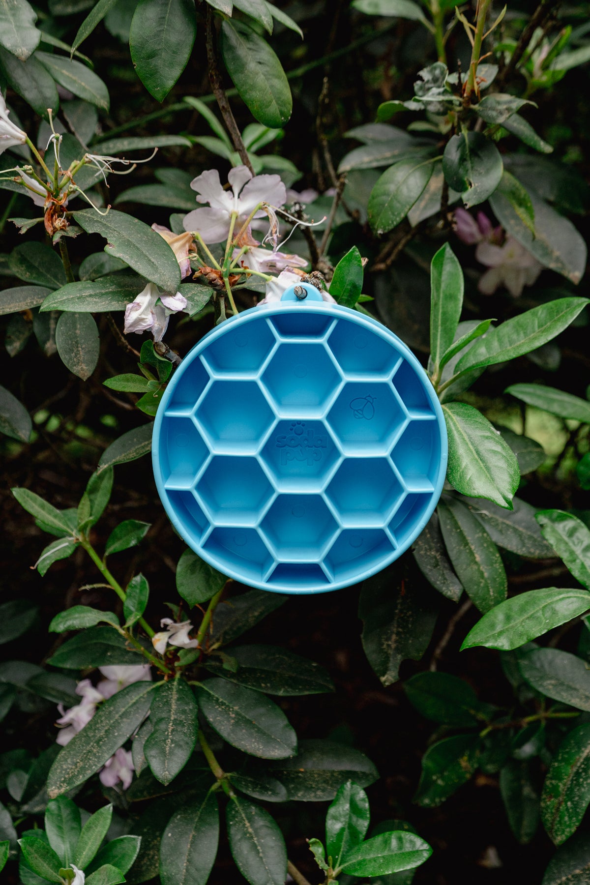 HONEYCOMB eBOWL deep slow feeder | Soda Pup