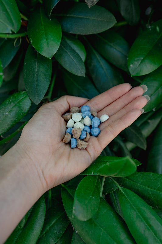 EGG WHITE AND GOAT MILK with blue spirulina + beet root | Freeze-Dried Dog + Cat Treat