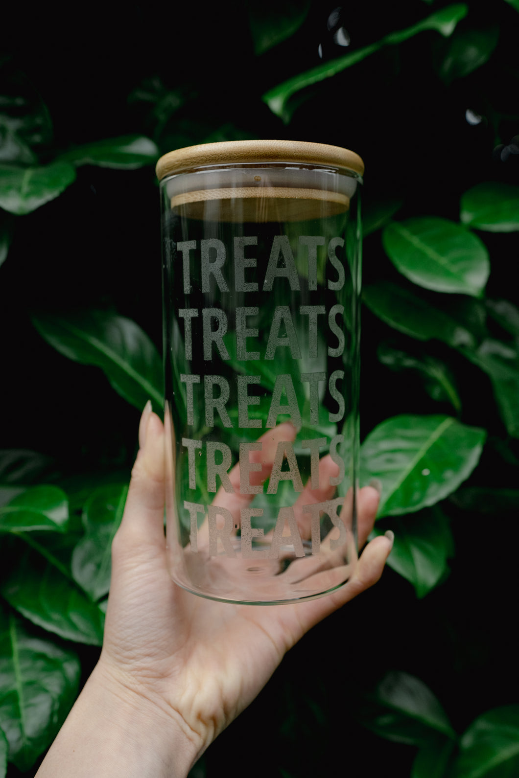 TREATS | Treat Jar
