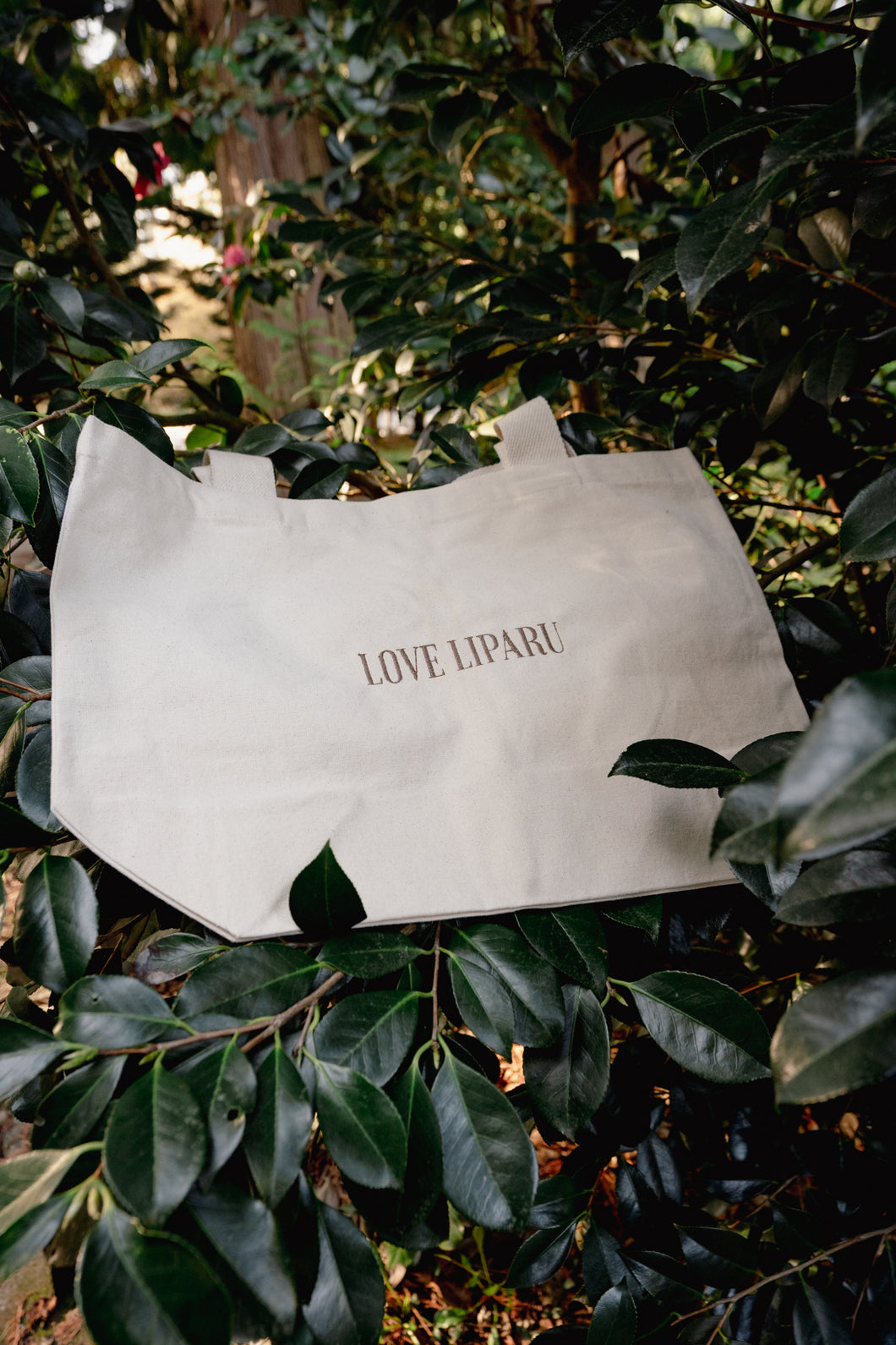 LOVE LIPARU | Tote Bag