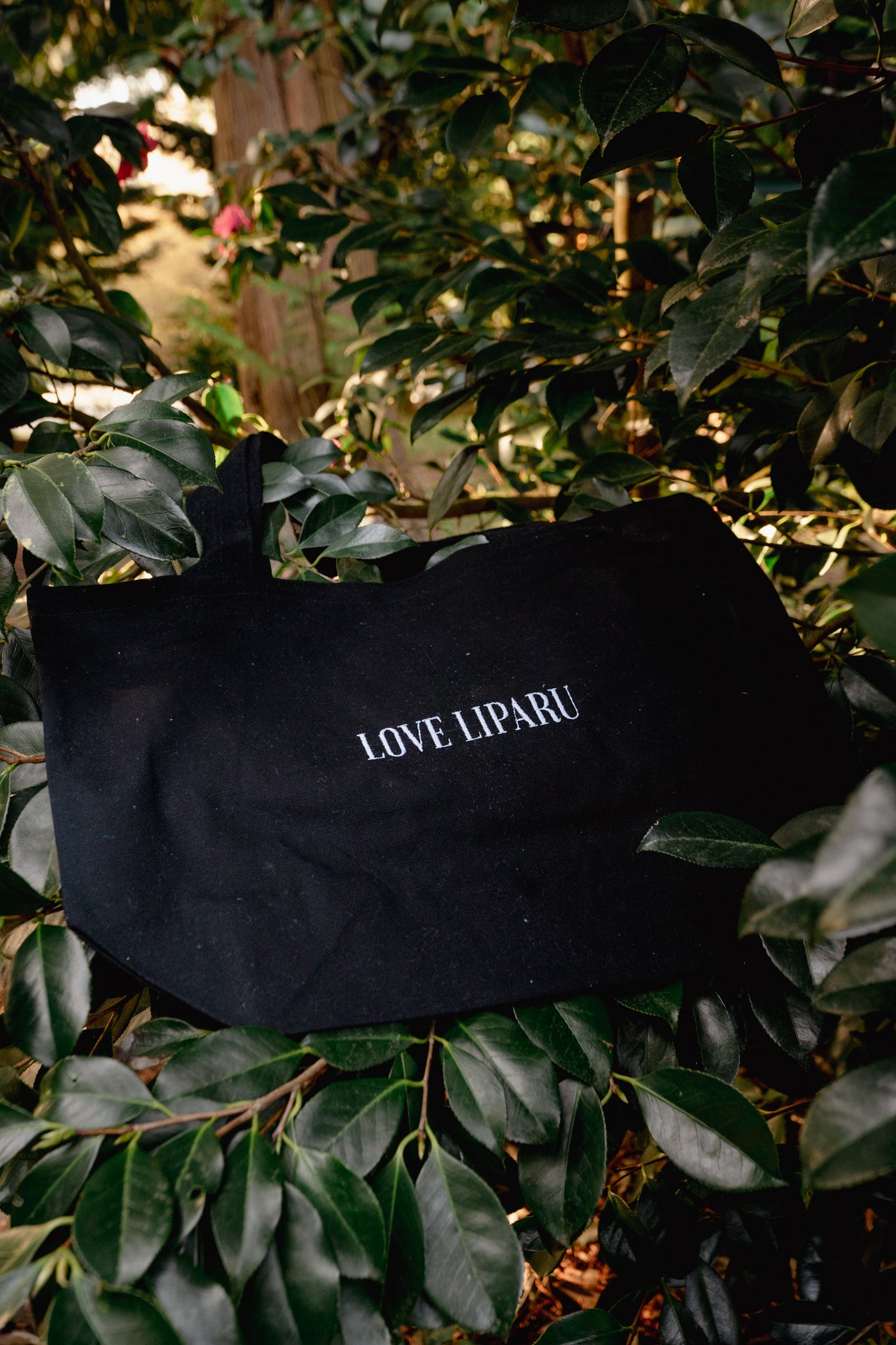 LOVE LIPARU | Tote Bag