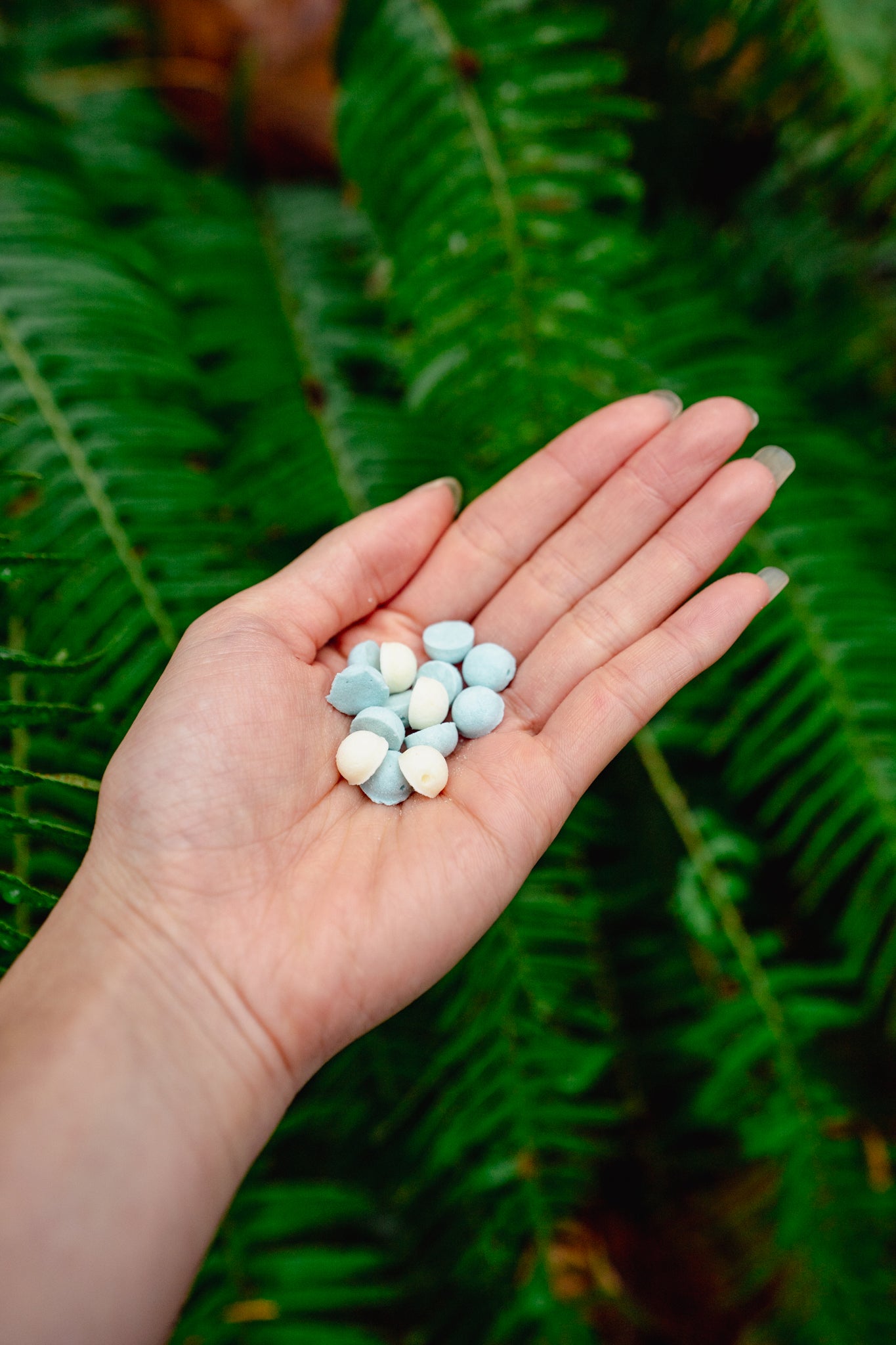 EGG AND GOAT MILK *holiday edition* | Freeze-Dried Dog + Cat Treat