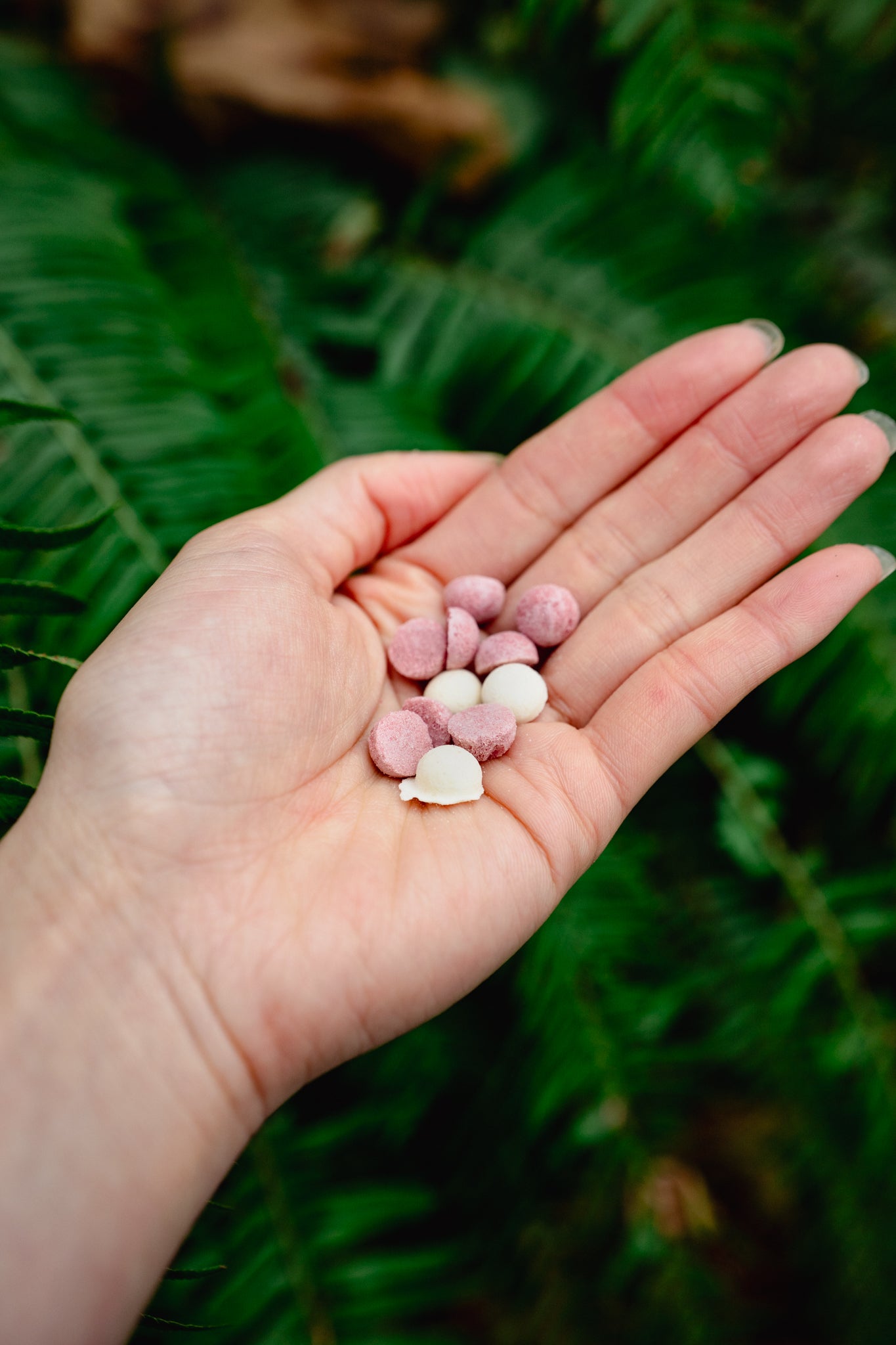 EGG AND GOAT MILK *holiday edition* | Freeze-Dried Dog + Cat Treat