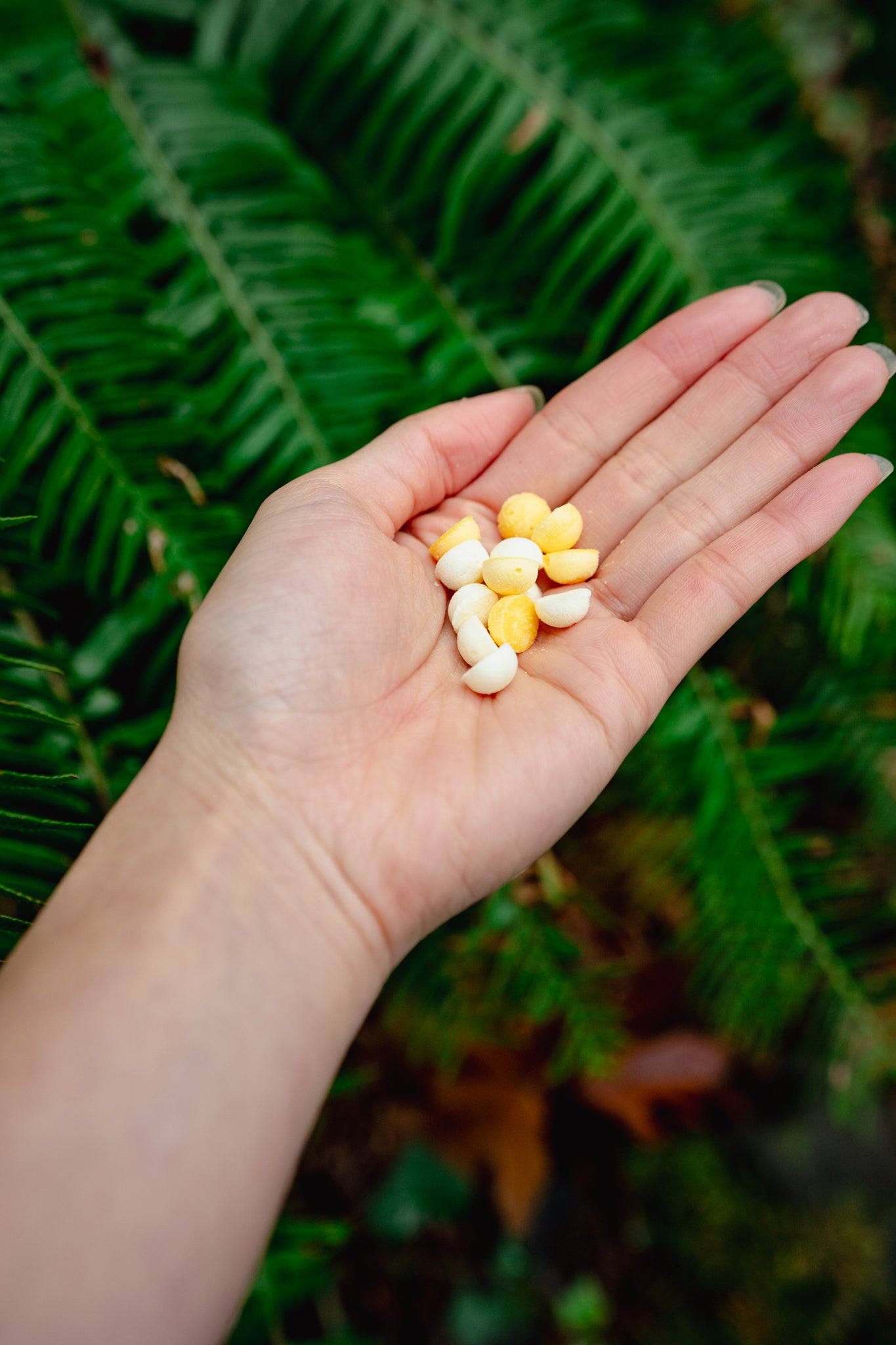 EGG AND GOAT MILK *holiday edition* | Freeze-Dried Dog + Cat Treat