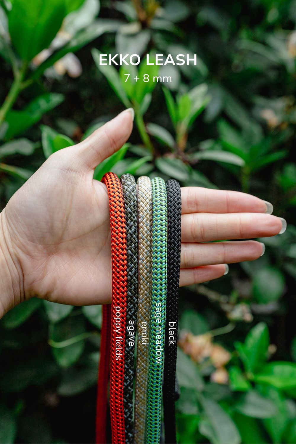 EKKO LEASH 7 + 8 mm | Litto Howler