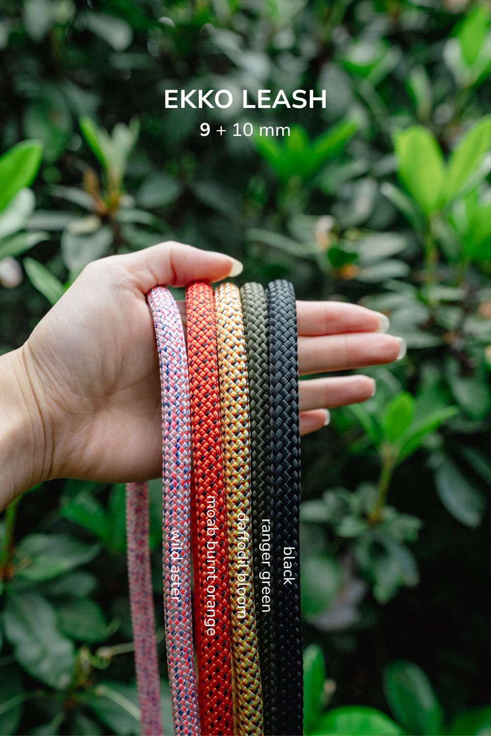 EKKO LEASH 9 + 10 mm | Litto Howler