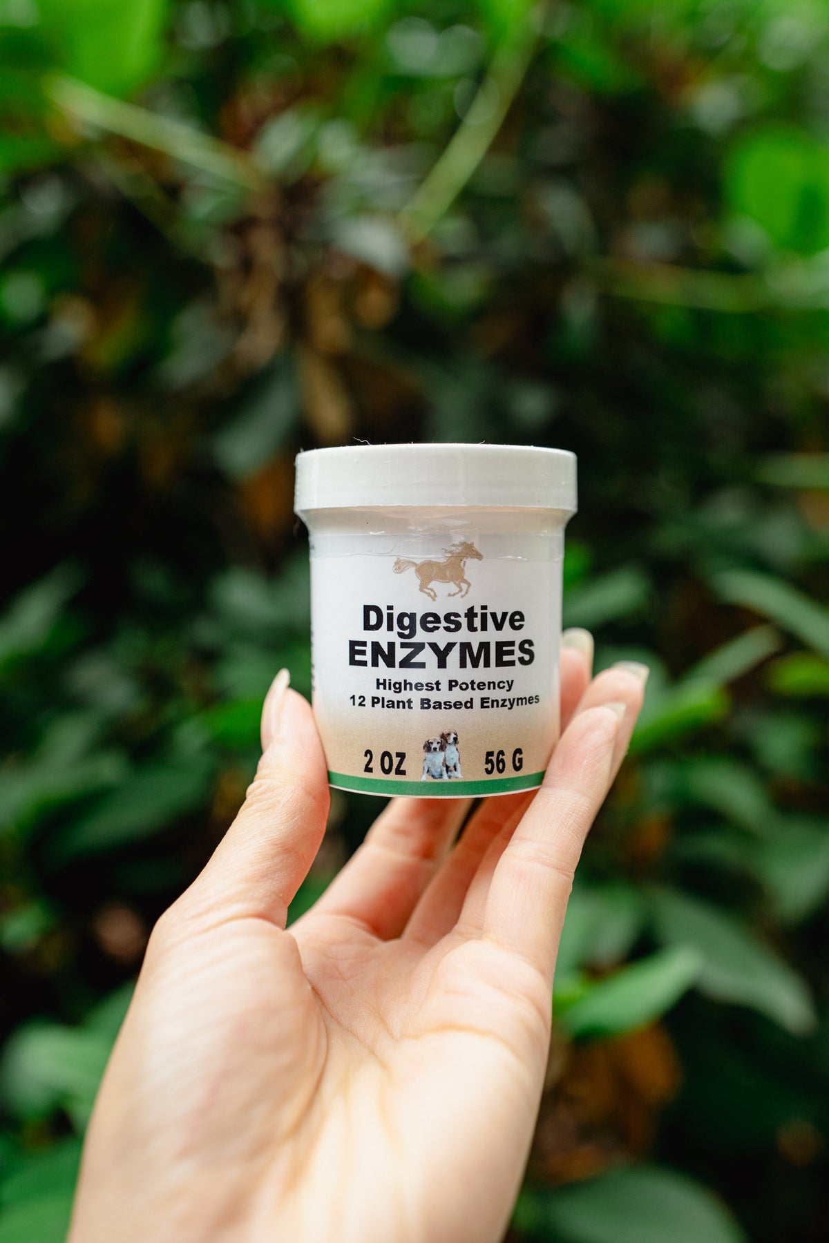DIGESTIVE ENZYMES | Healthline Nutrition