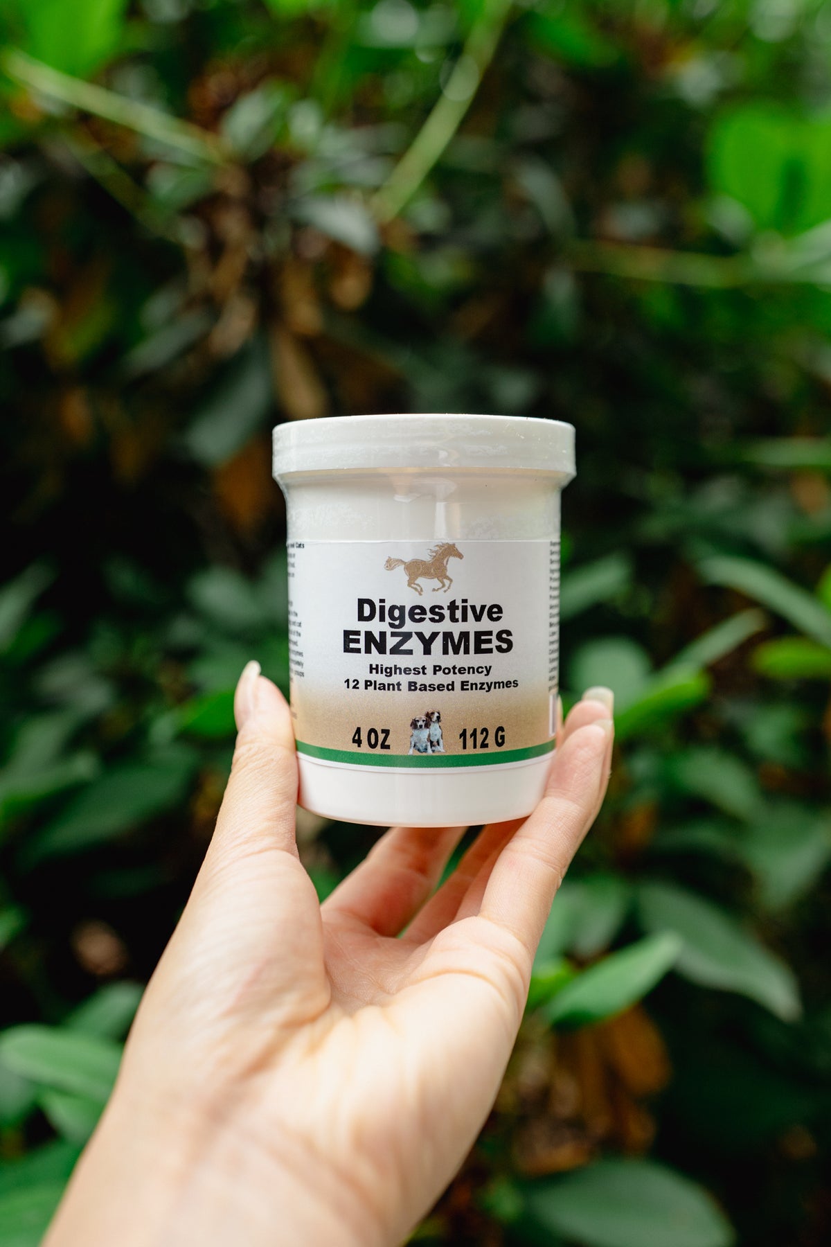 DIGESTIVE ENZYMES | Healthline Nutrition