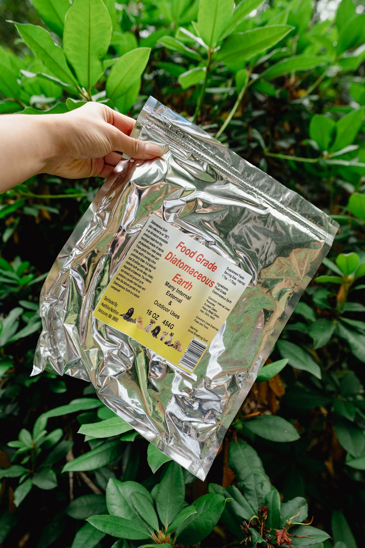 FOOD GRADE DIATOMACEOUS EARTH | Healthline Nutrition
