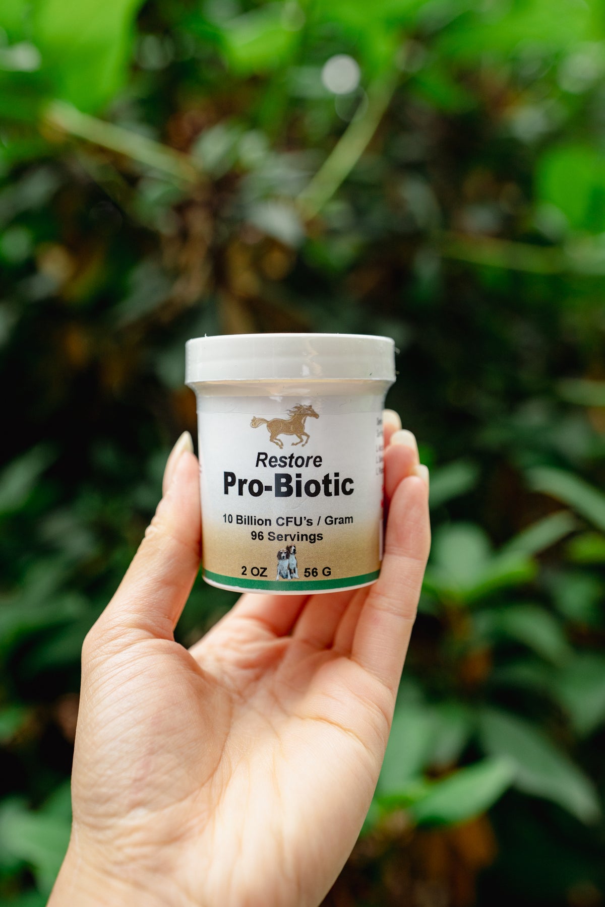 RESTORE PRO-BIOTIC | Healthline Nutrition