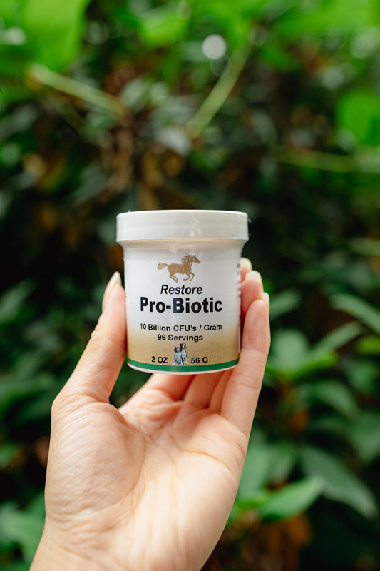 RESTORE PRO-BIOTIC | Healthline Nutrition