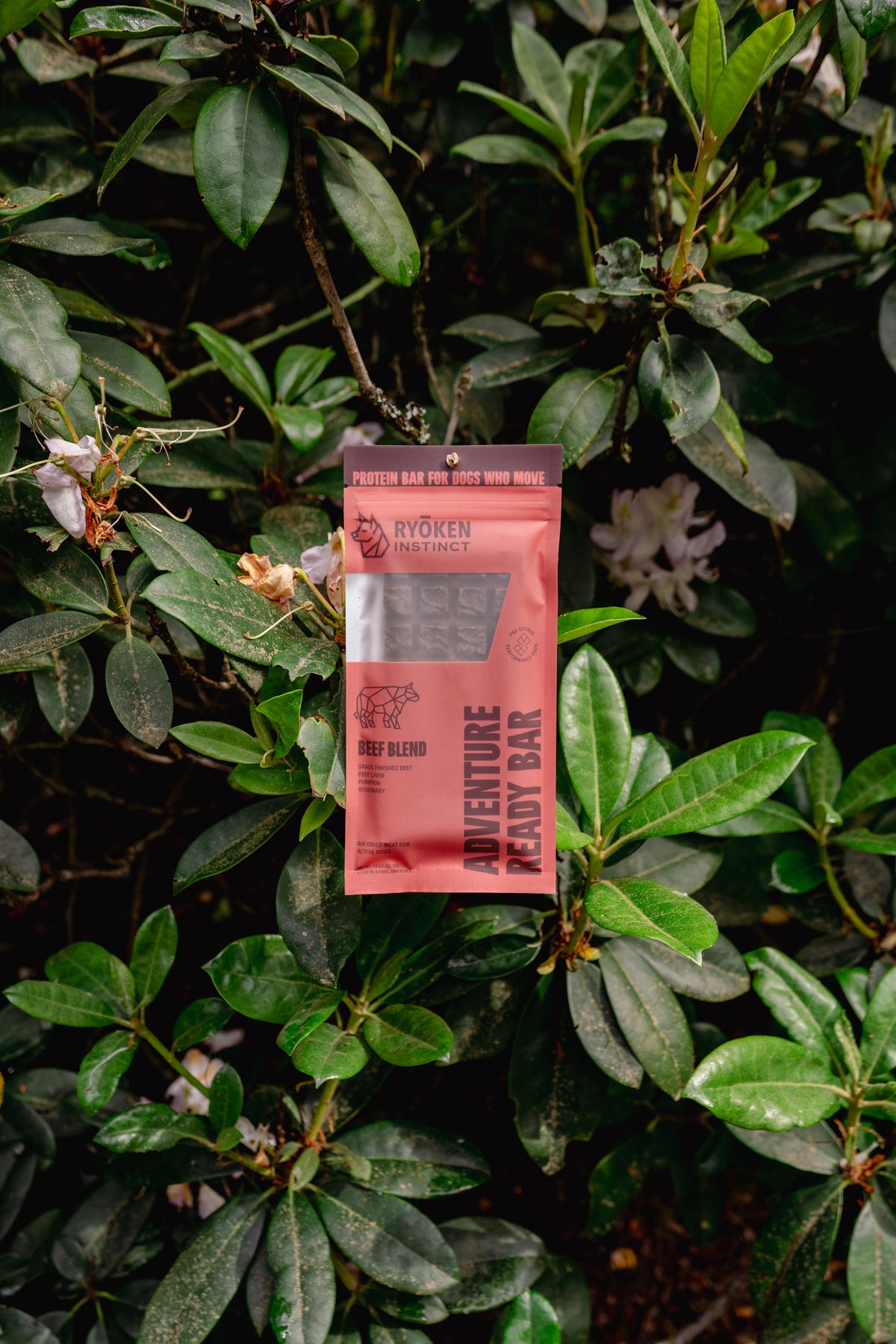 ADVENTURE READY BAR | Ryōken Instinct