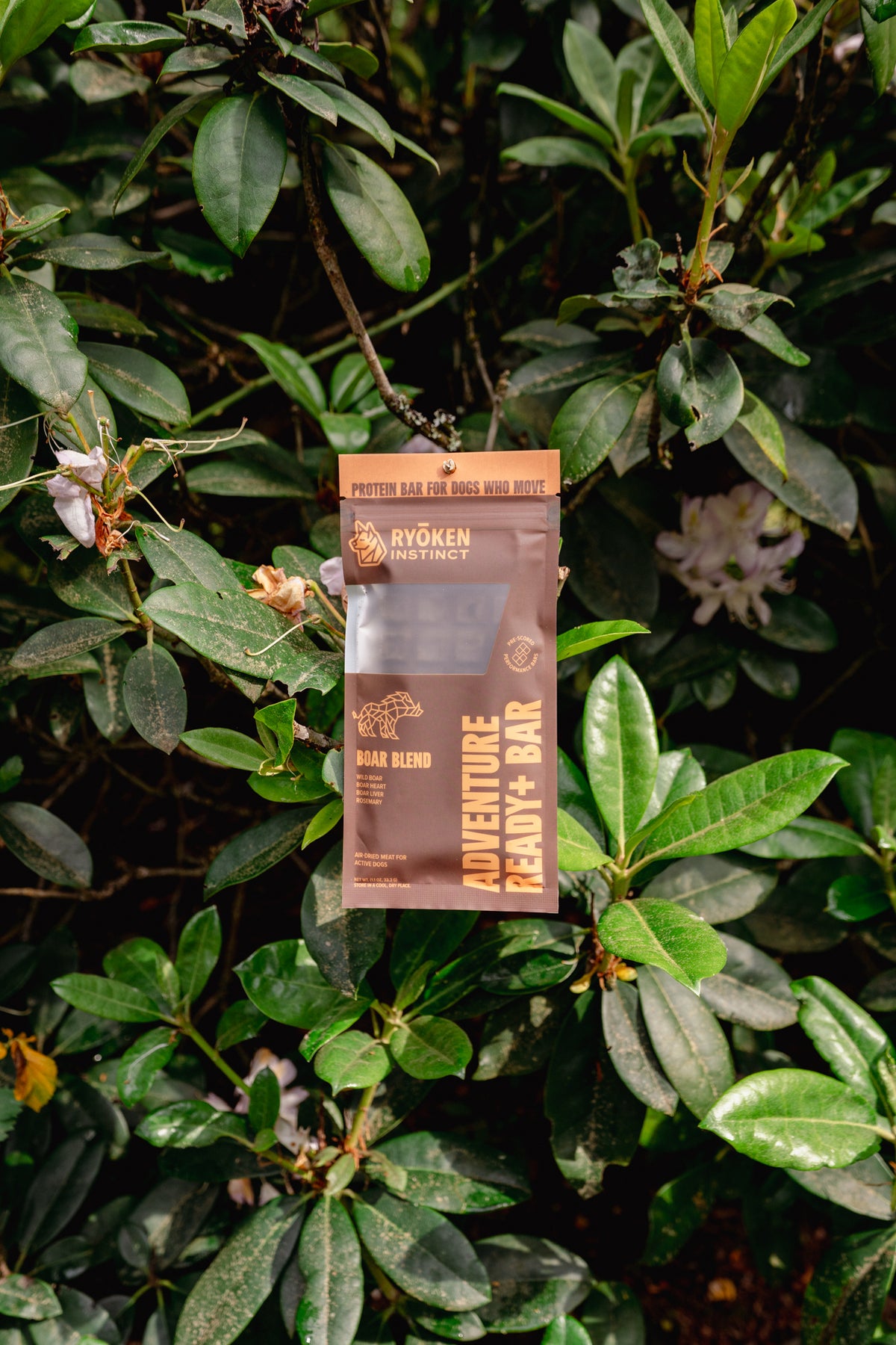 ADVENTURE READY BAR | Ryōken Instinct