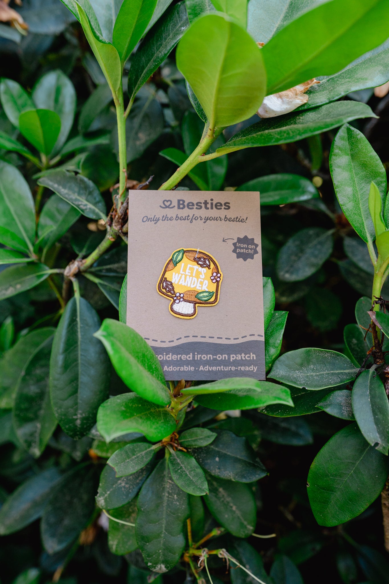 PATCHES | Besties