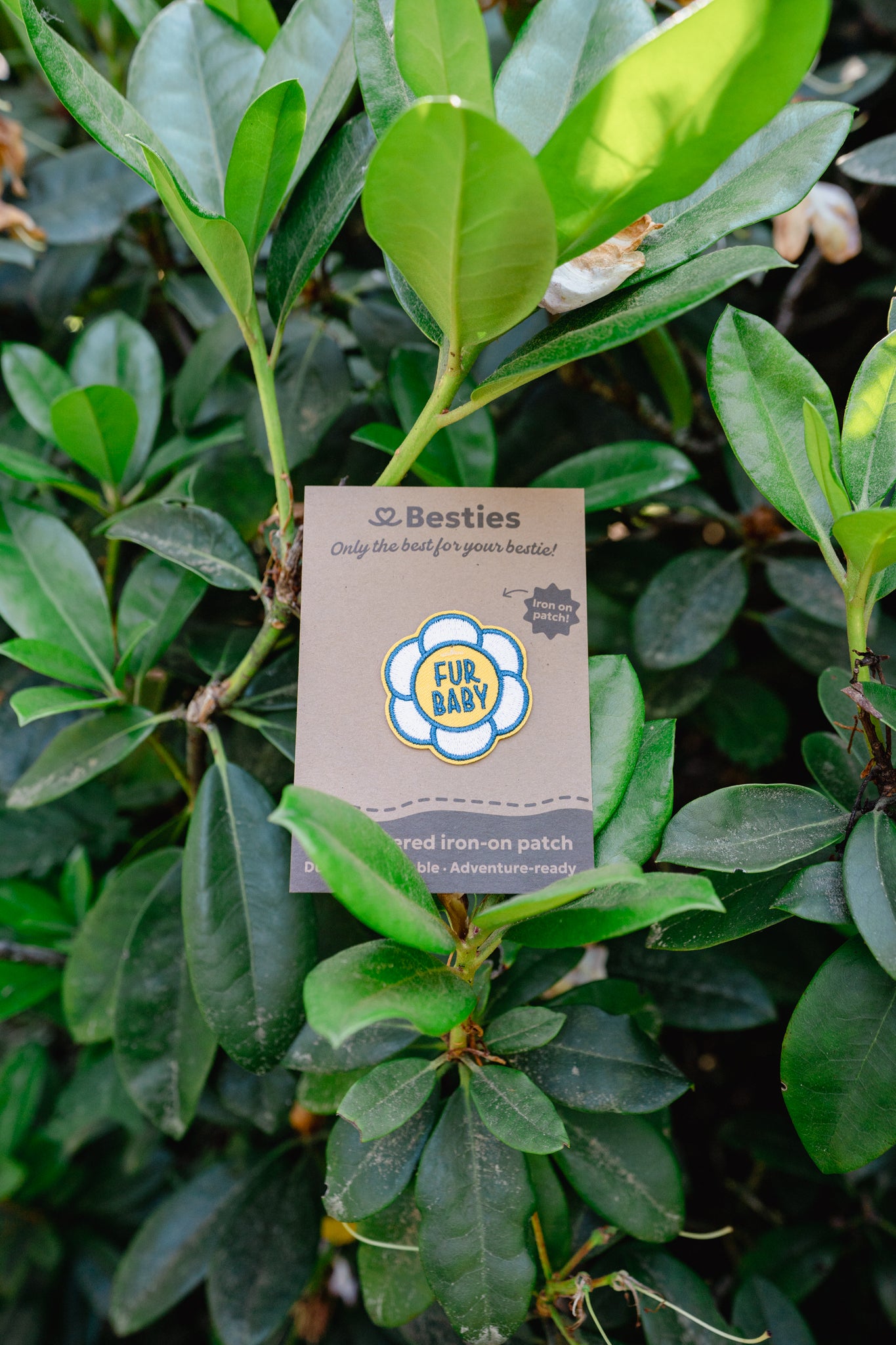 PATCHES | Besties
