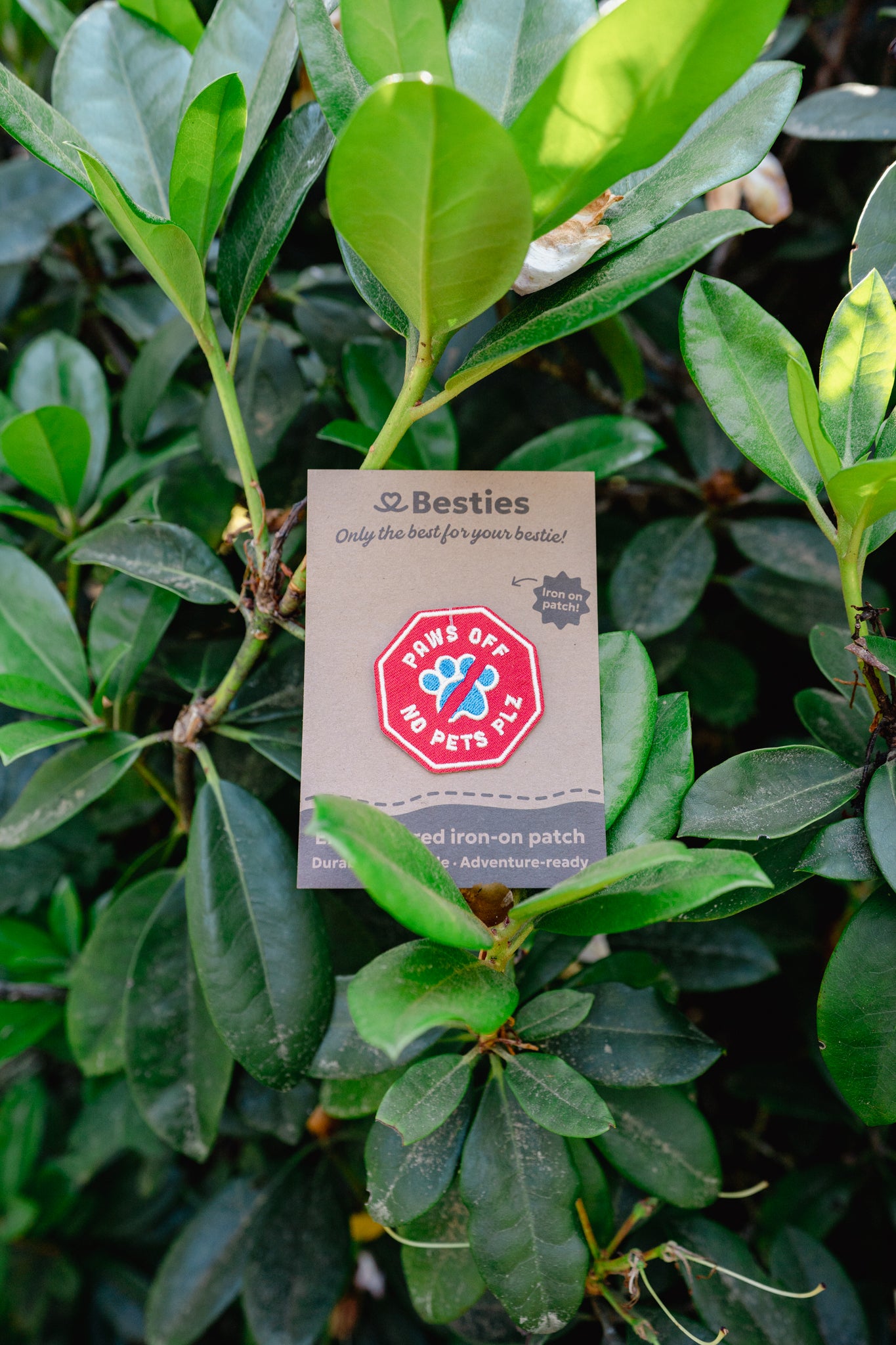 PATCHES | Besties