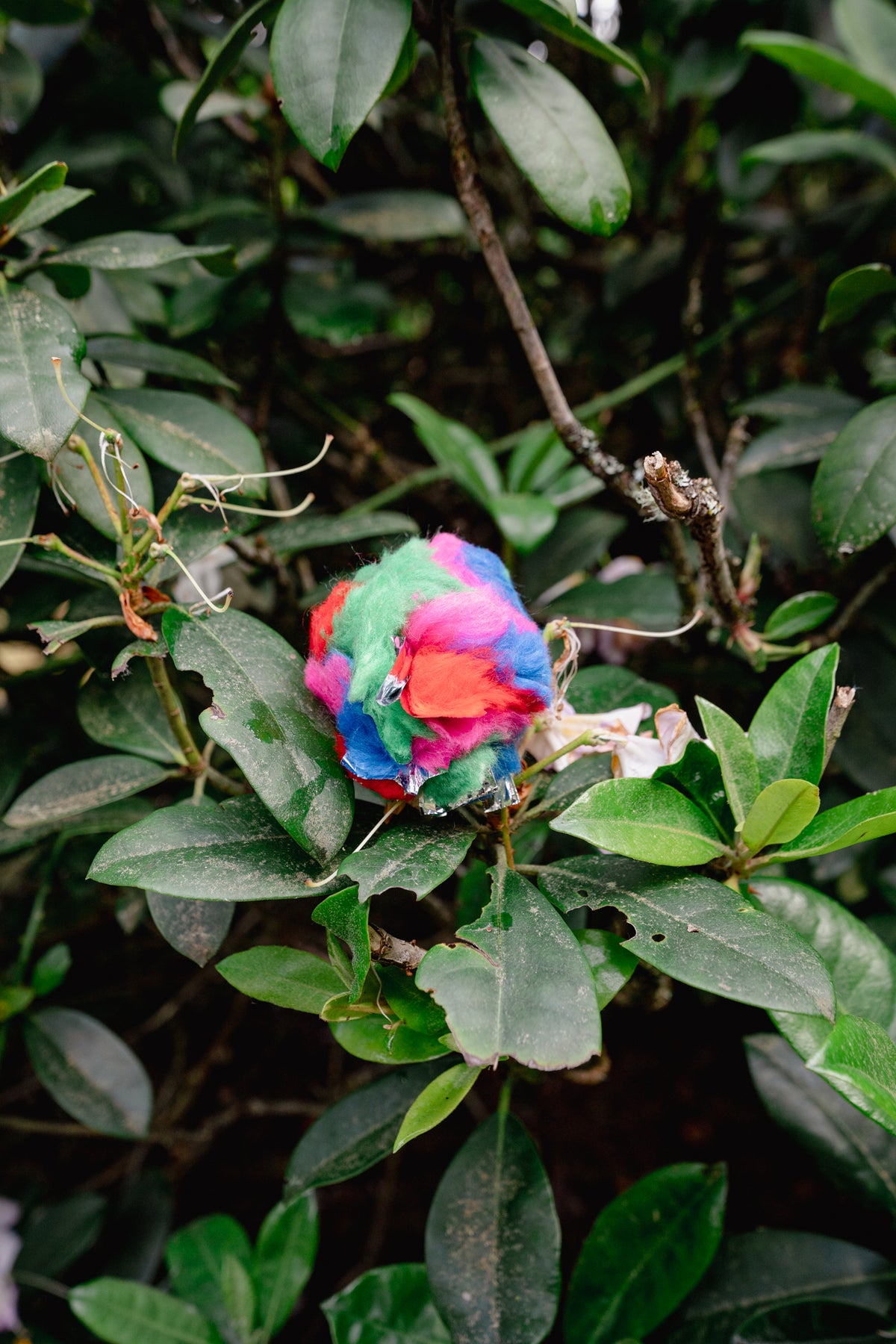 CRINKLE BALL | Go Cat