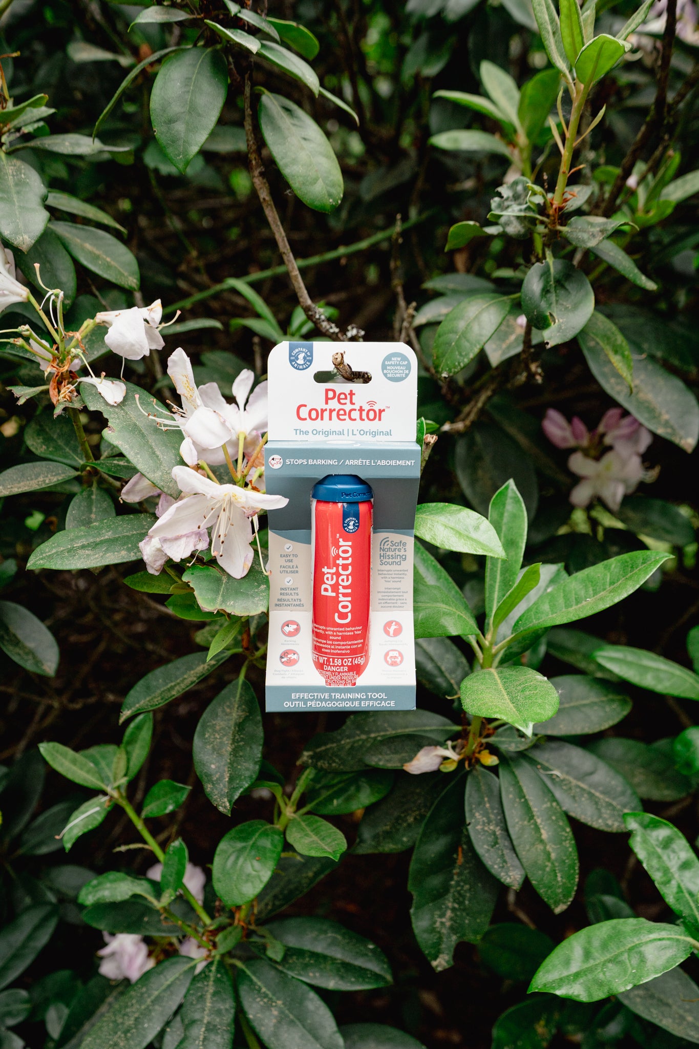PET CORRECTOR | Company Of Animals