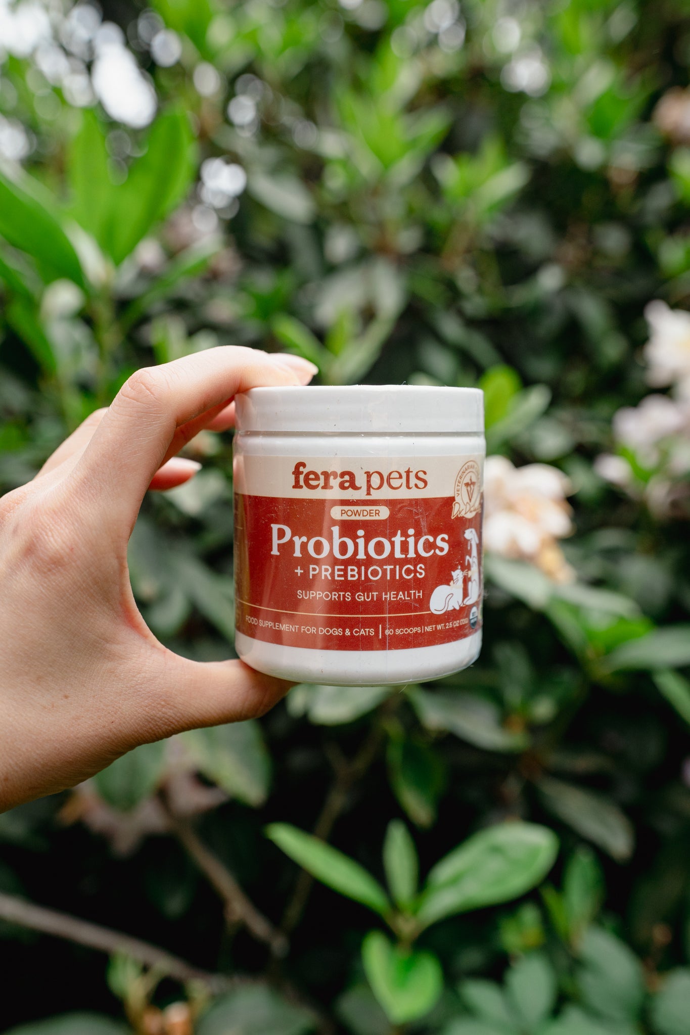 PROBIOTICS + PREBIOTICS | Fera Pets