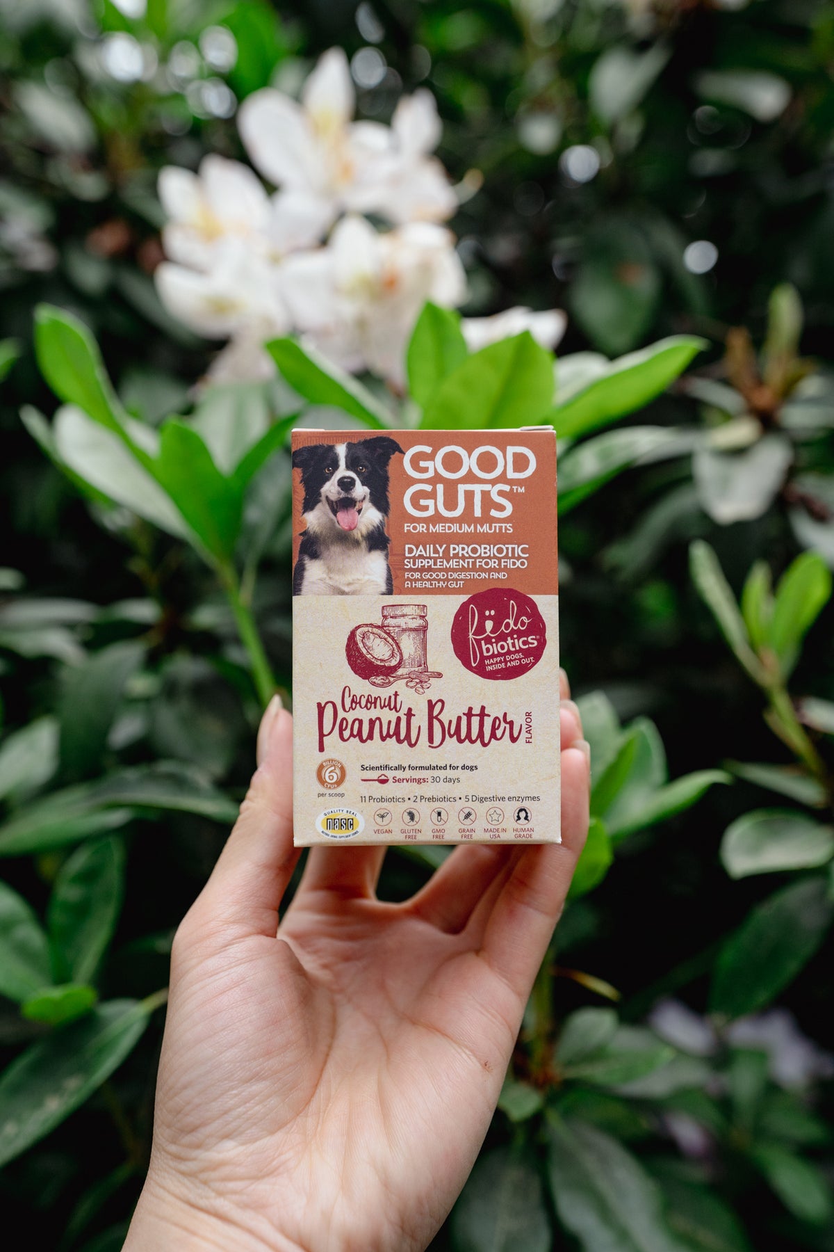 GOOD GUTS for dogs | Fidobiotics