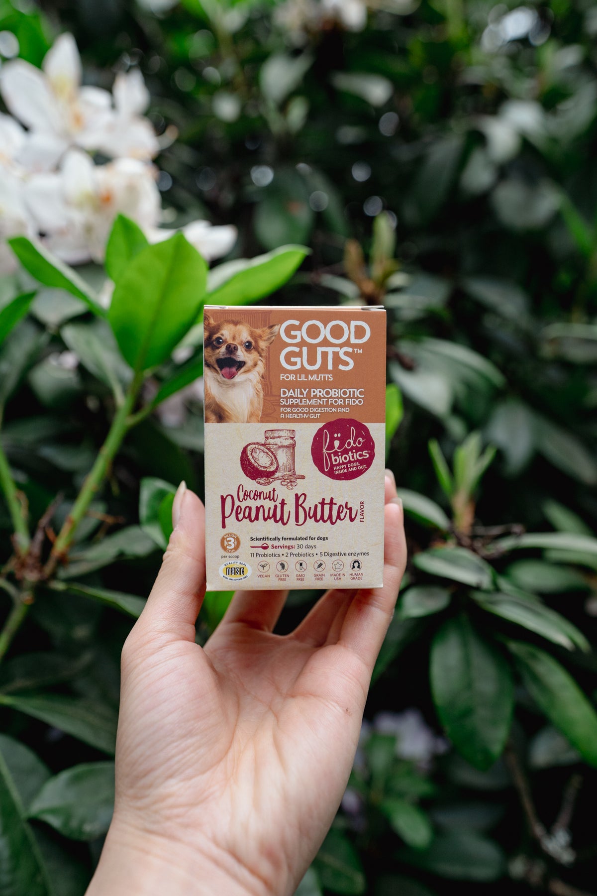 GOOD GUTS for dogs | Fidobiotics