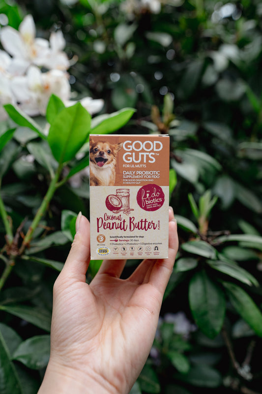 GOOD GUTS for dogs | Fidobiotics