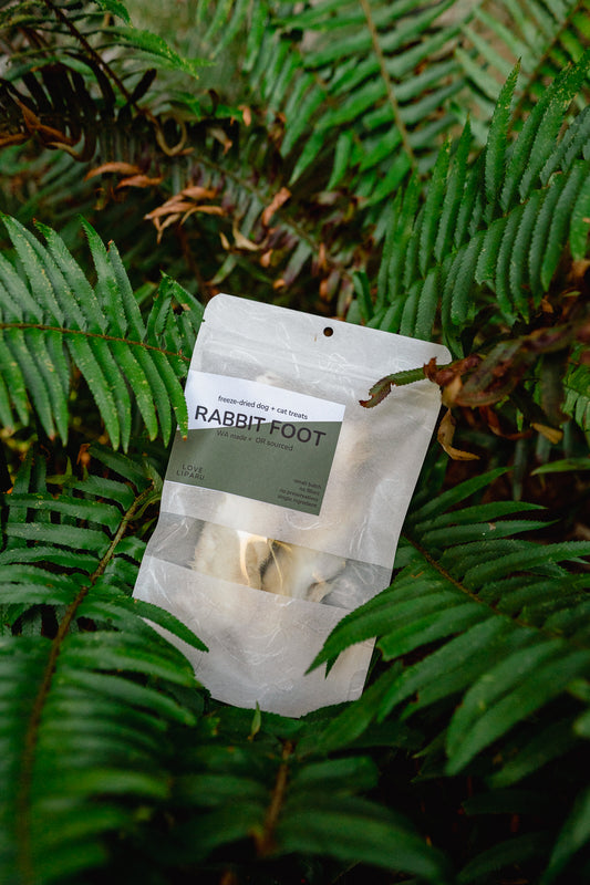 RABBIT FOOT | Freeze-Dried Dog + Cat Treat