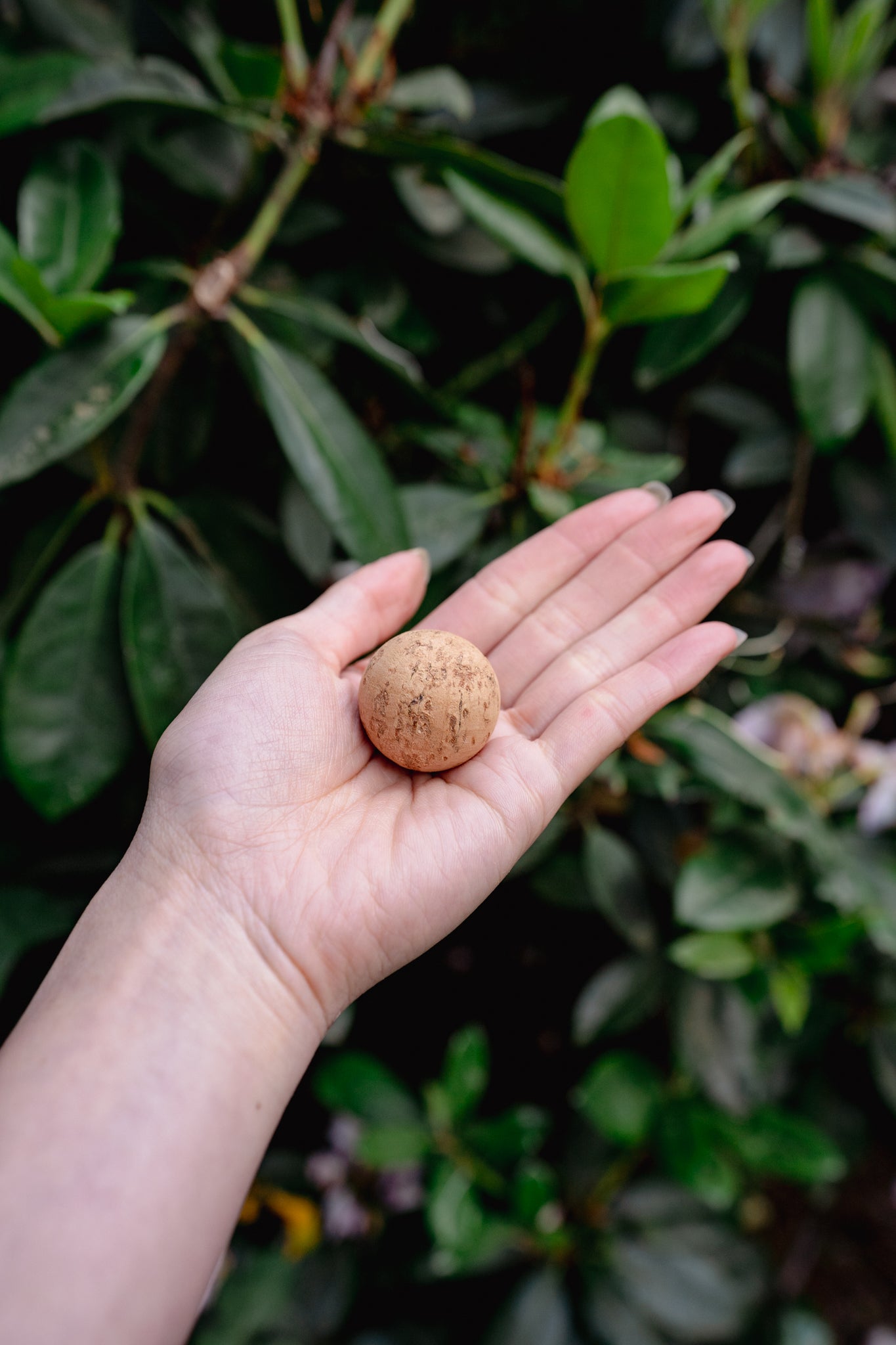 BILLY BOB THE CORK BALL | From The Field