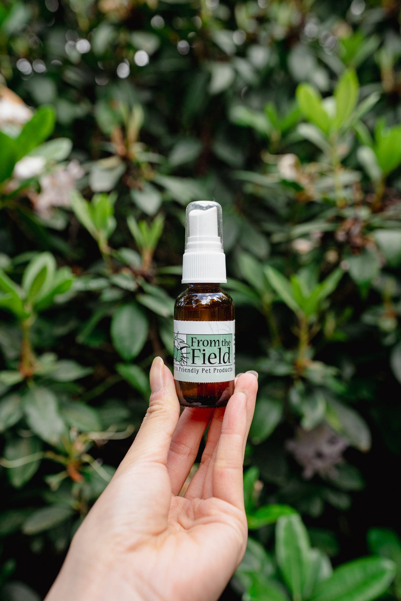 CATNIP SPRAY REJUVENATOR | From The Field