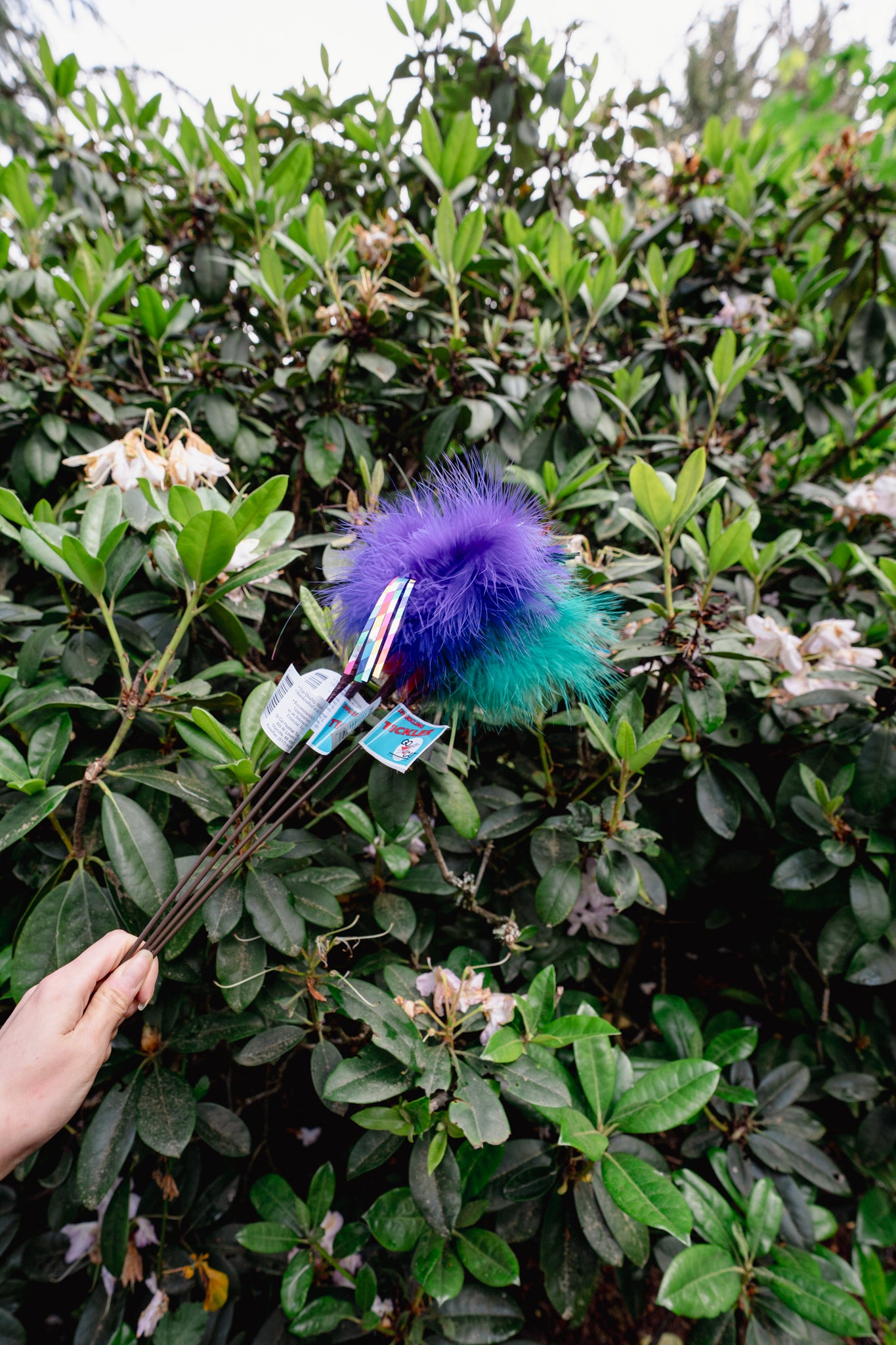 SPARKLING TICKLER 18" | Go Cat Feather Toys