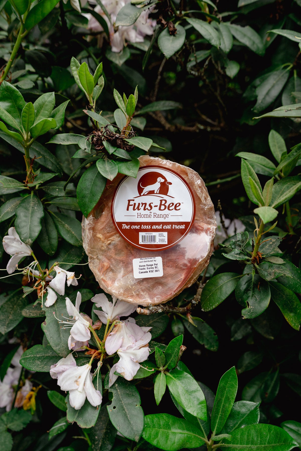BEEF FURS-BEE | Home Range