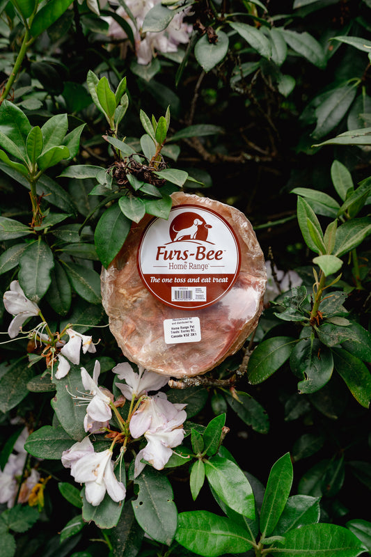 BEEF FURS-BEE | Home Range