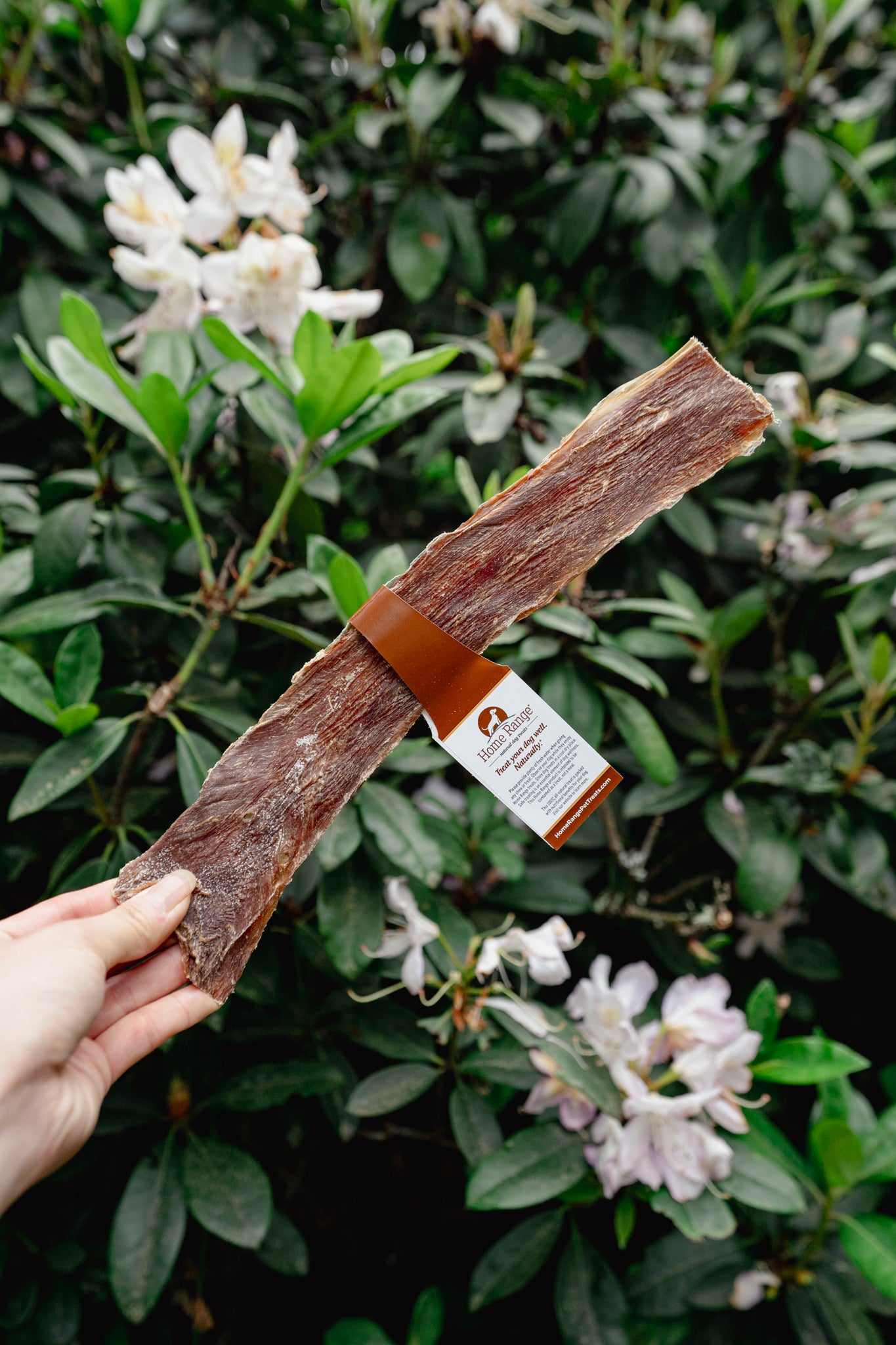 BEEF ESOPHAGUS CHOMPER FLATTENED JERKY | Home Range