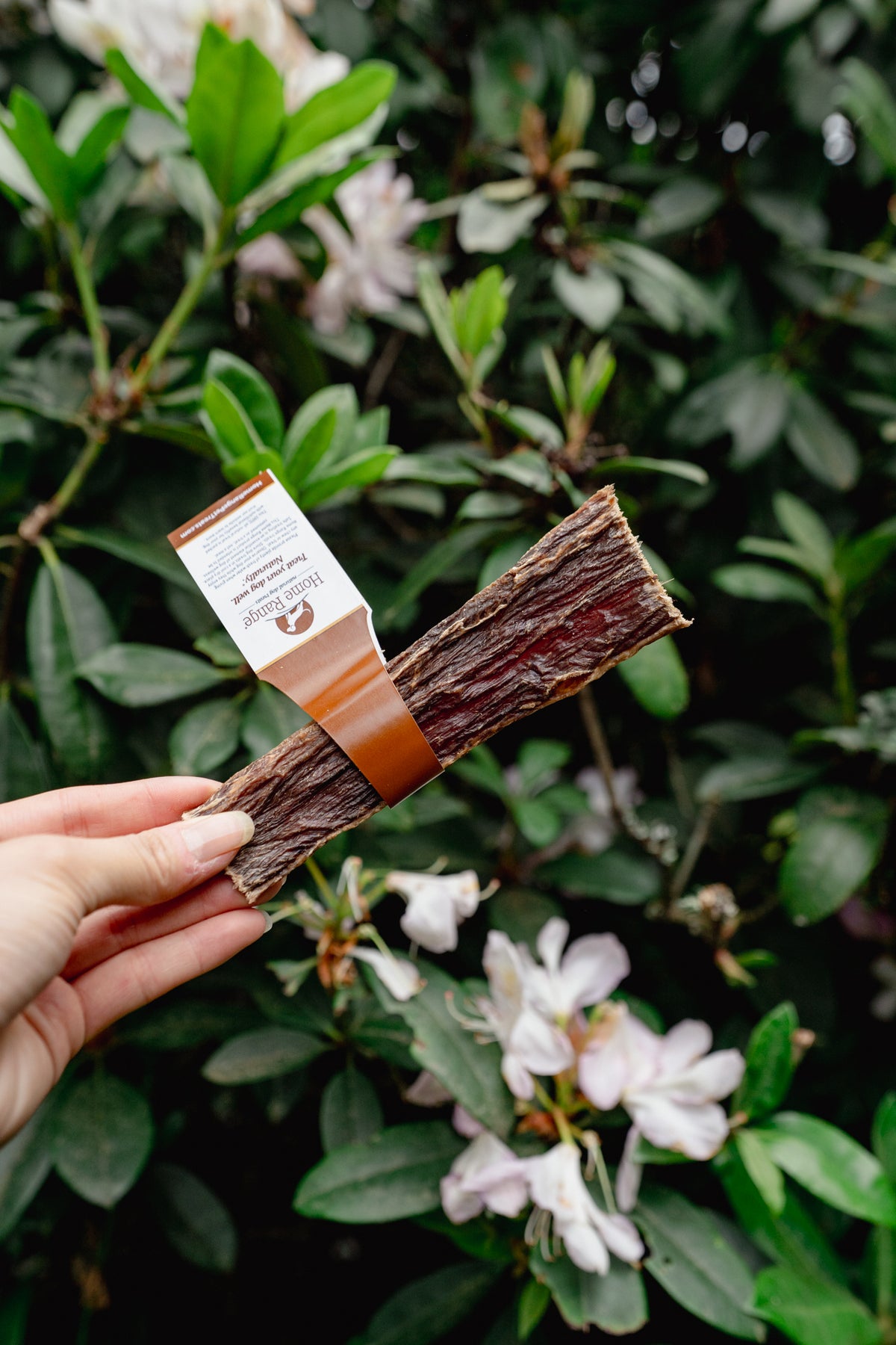 BEEF ESOPHAGUS CHOMPER FLATTENED JERKY | Home Range